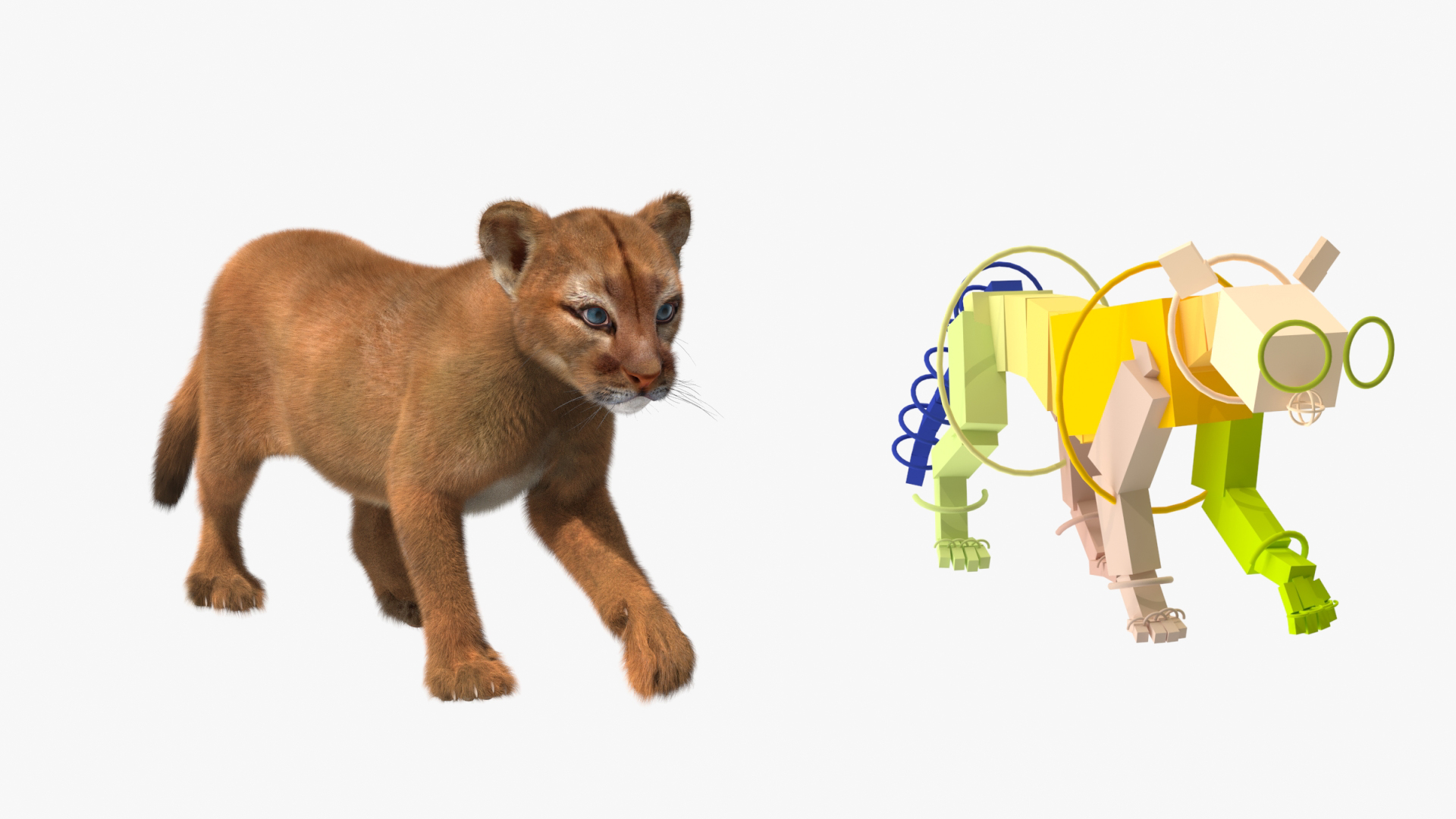 Puma Cub with Fur Rigged 3D model