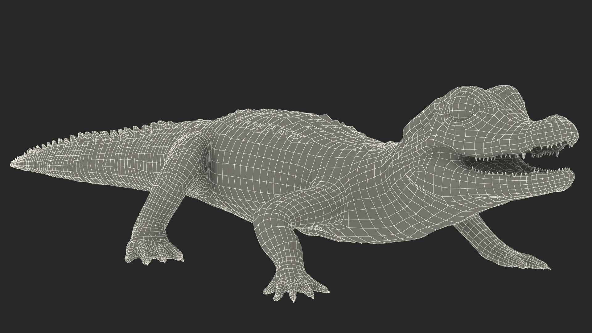 Black Caiman Baby 3D