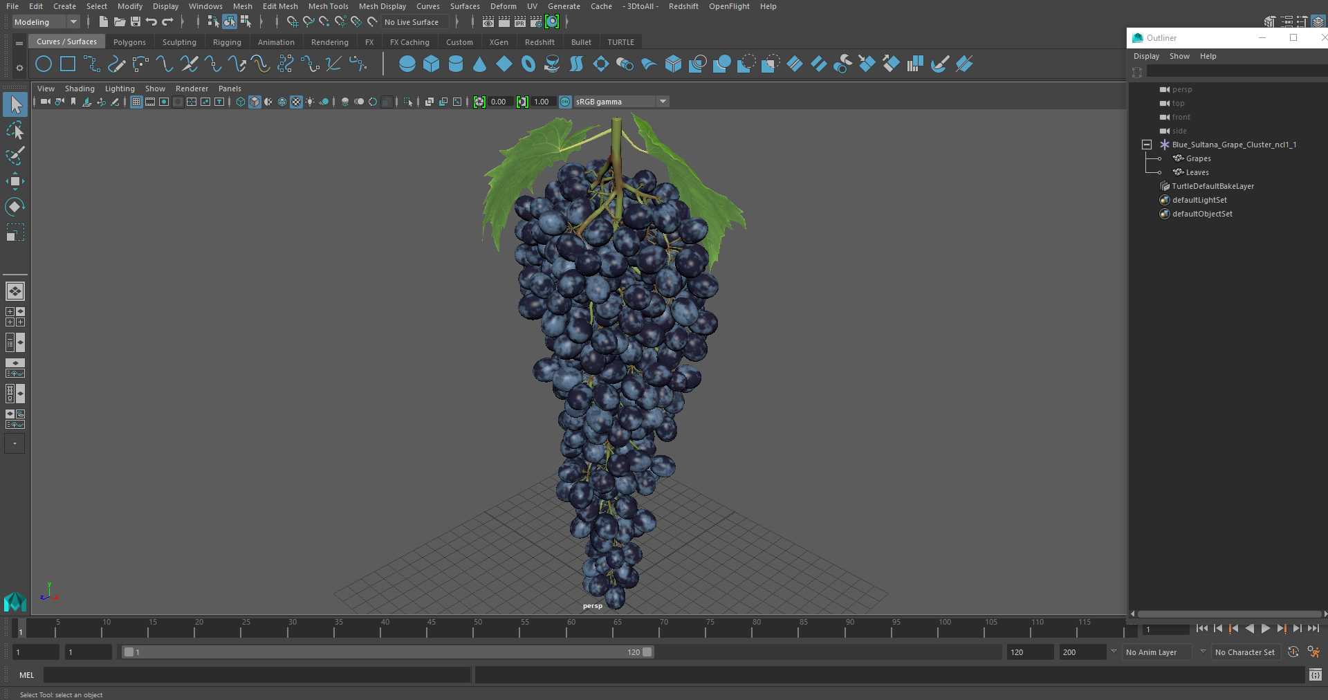 3D Blue Sultana Grape Cluster