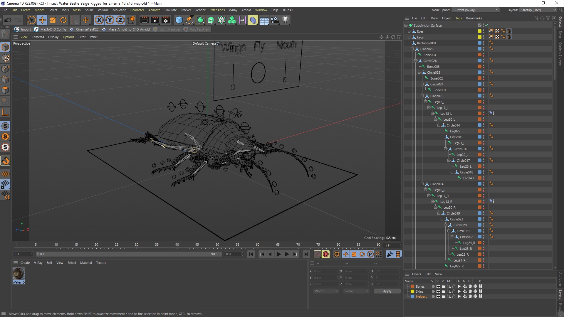 3D Insect Water Beetle Beige Rigged for Cinema 4D