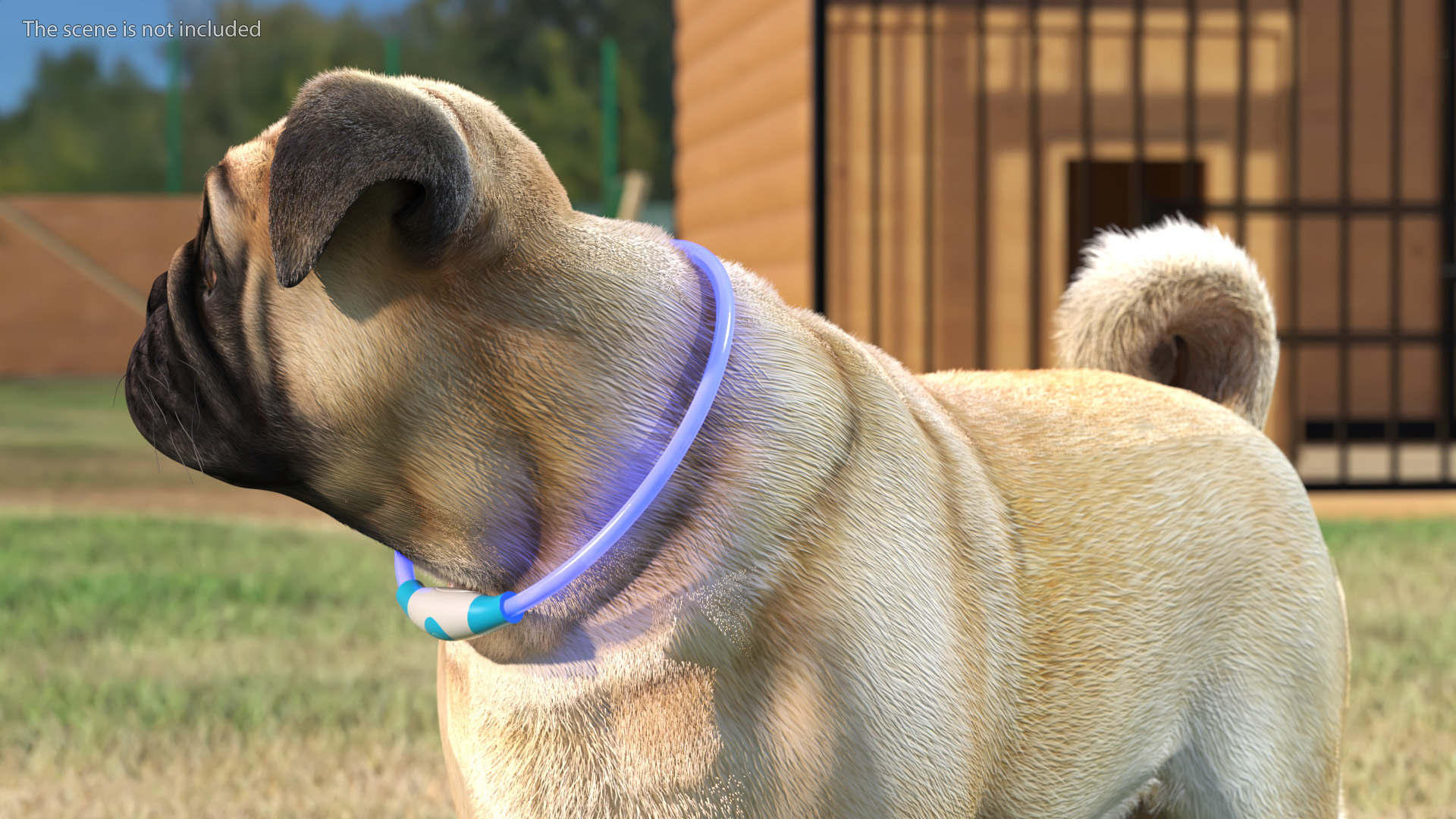 Blue LED Dog Collar 3D model