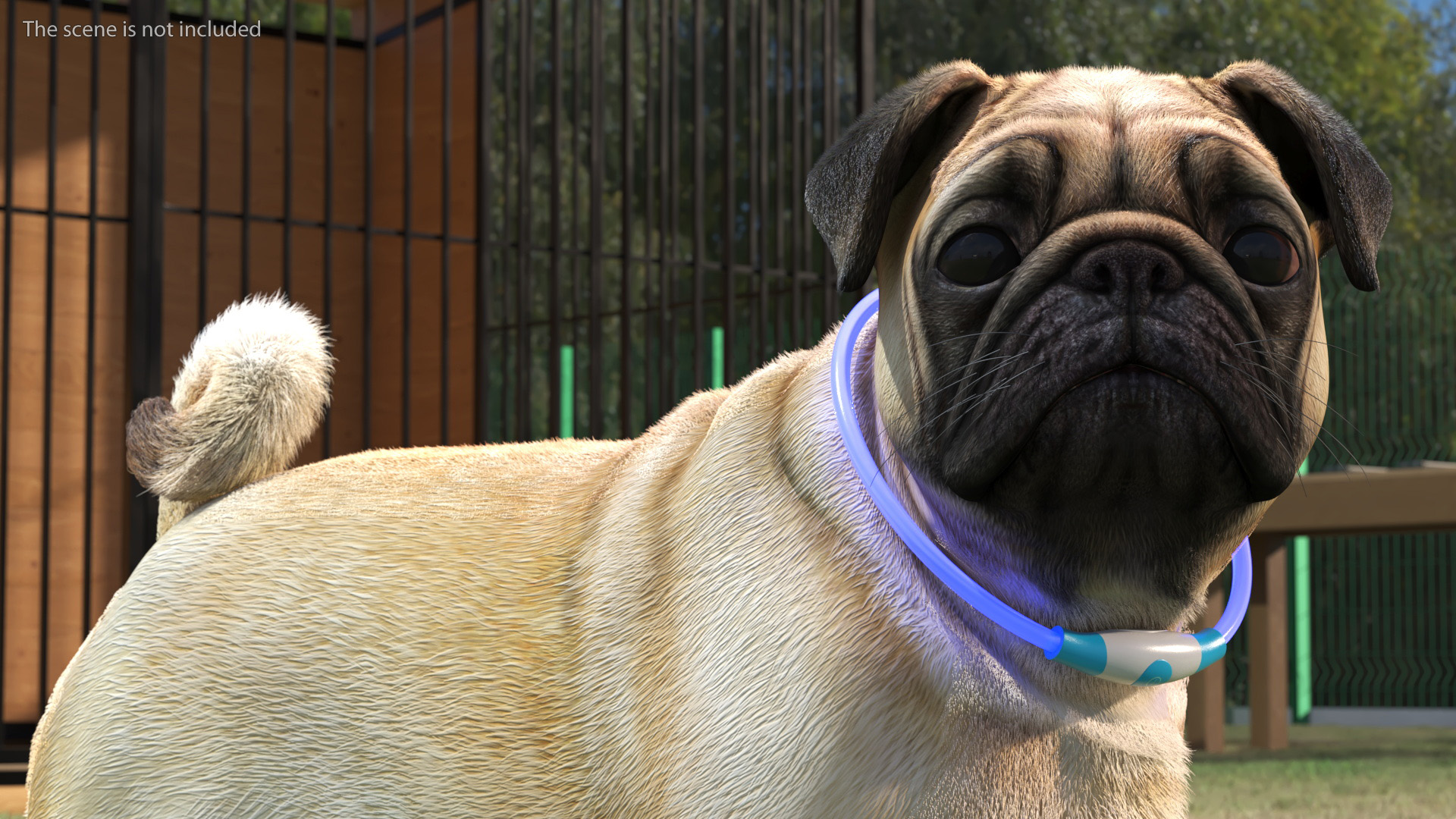 Blue LED Dog Collar 3D model