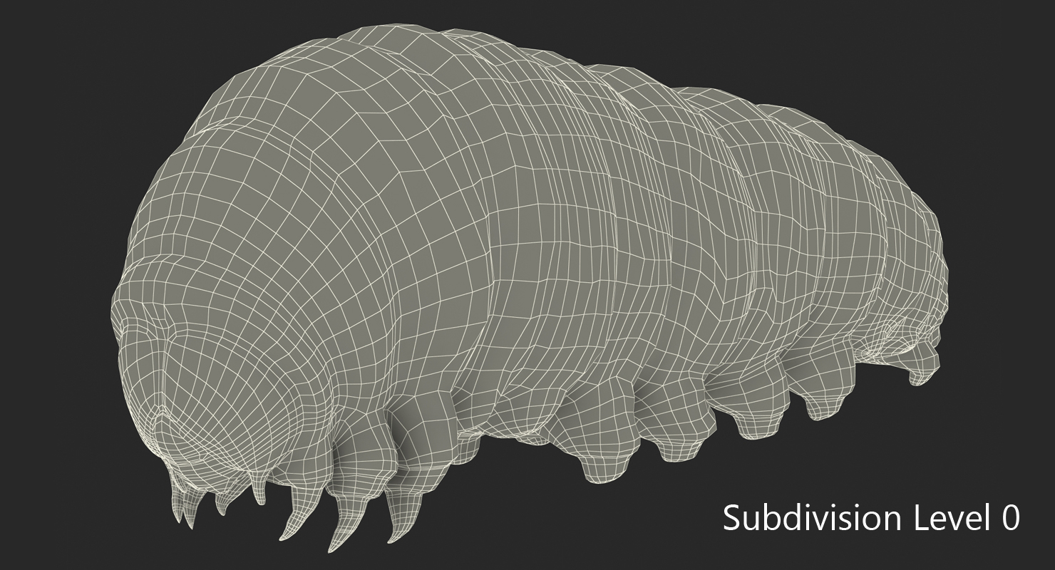 3D model Caterpillar with Fur