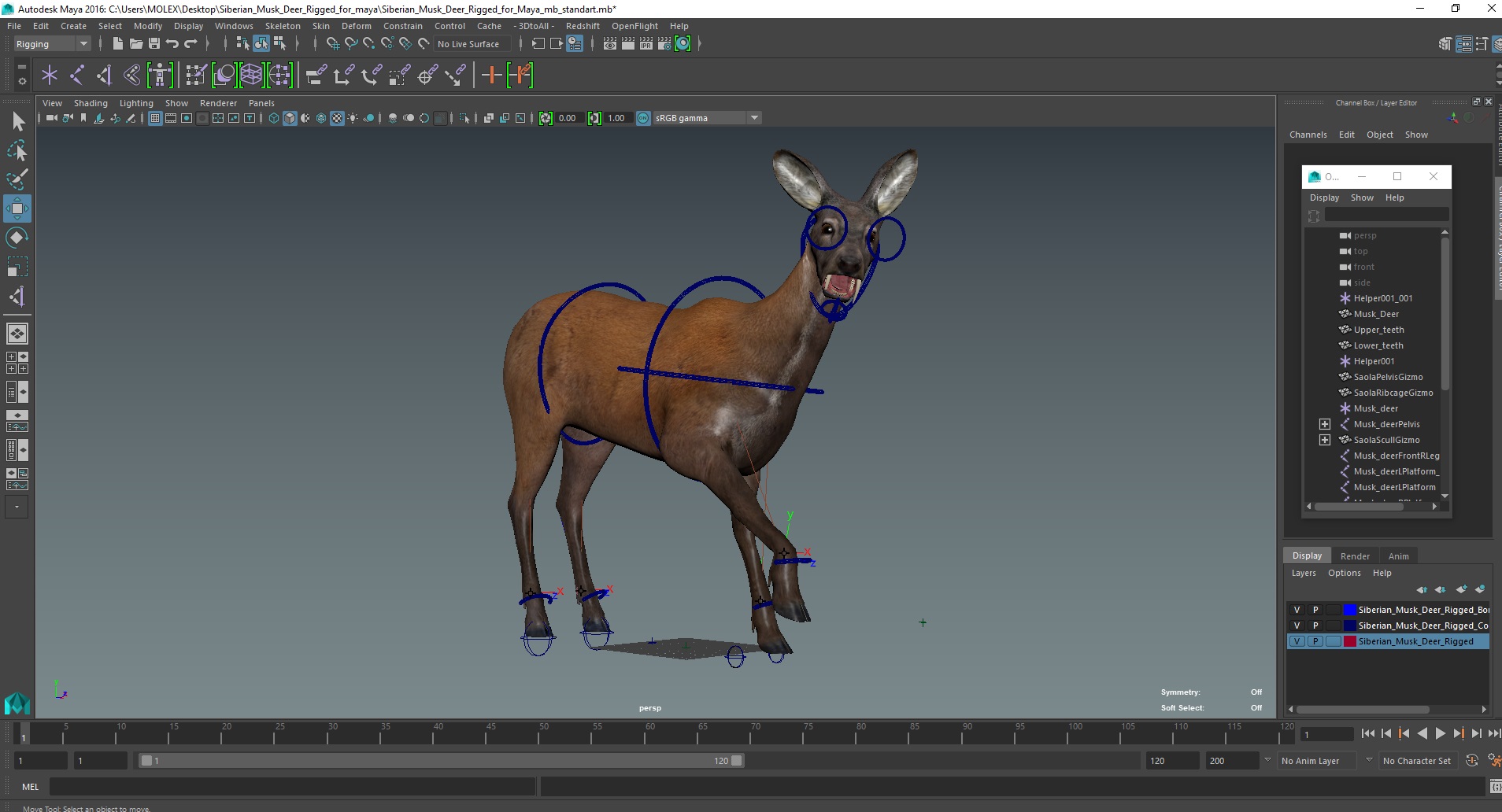 Siberian Musk Deer Rigged for Maya 3D model