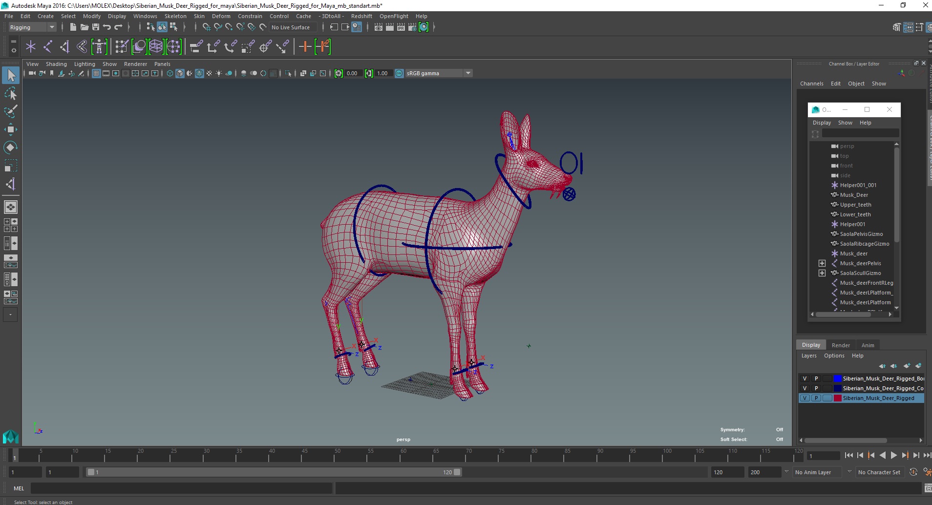 Siberian Musk Deer Rigged for Maya 3D model