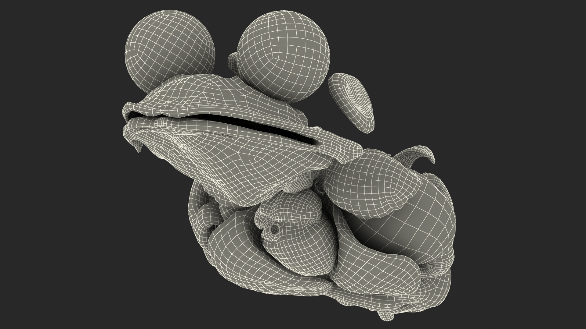 3D Frog Anatomy Complete Body