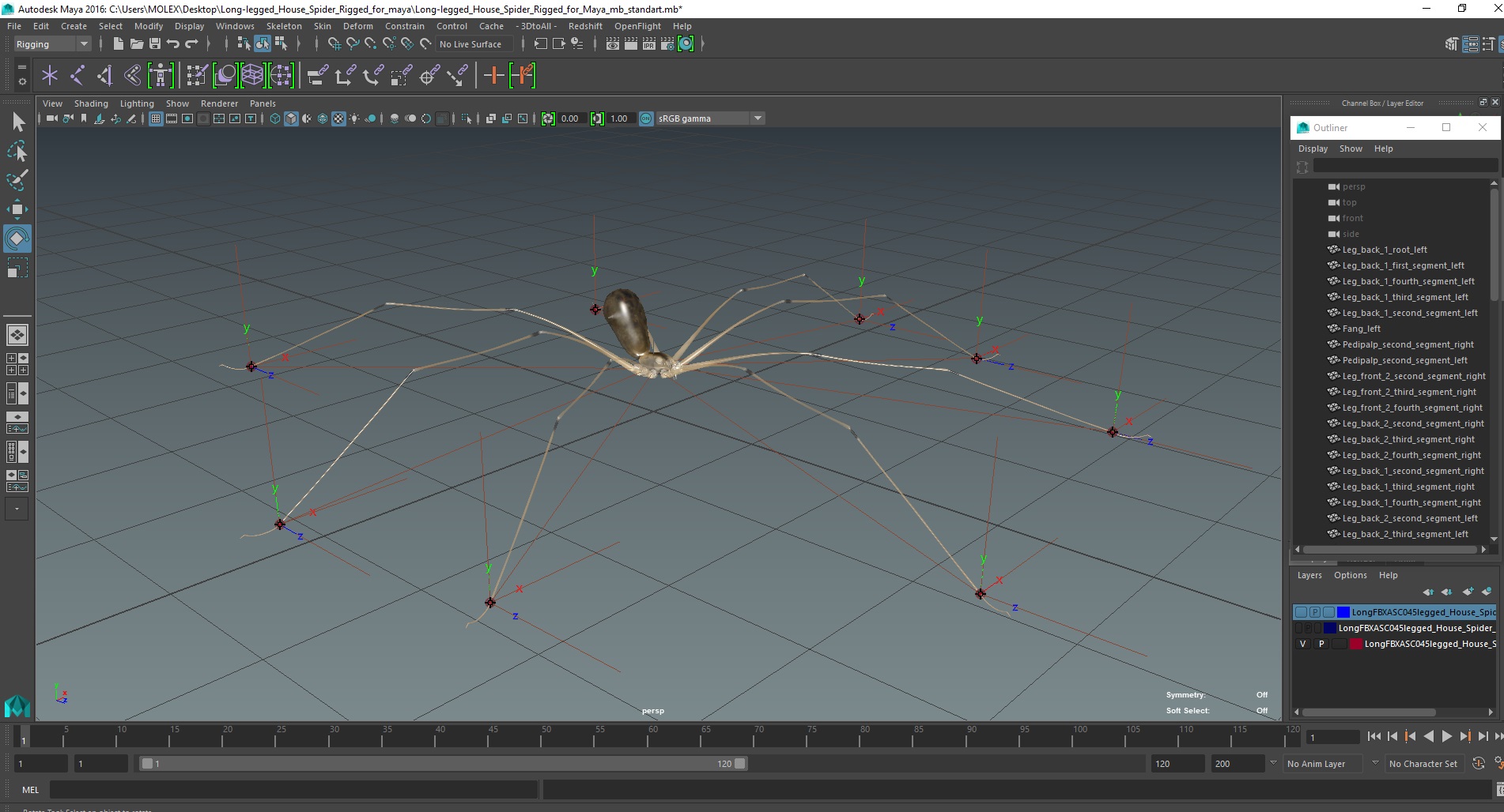 3D model Long-legged House Spider Rigged for Maya