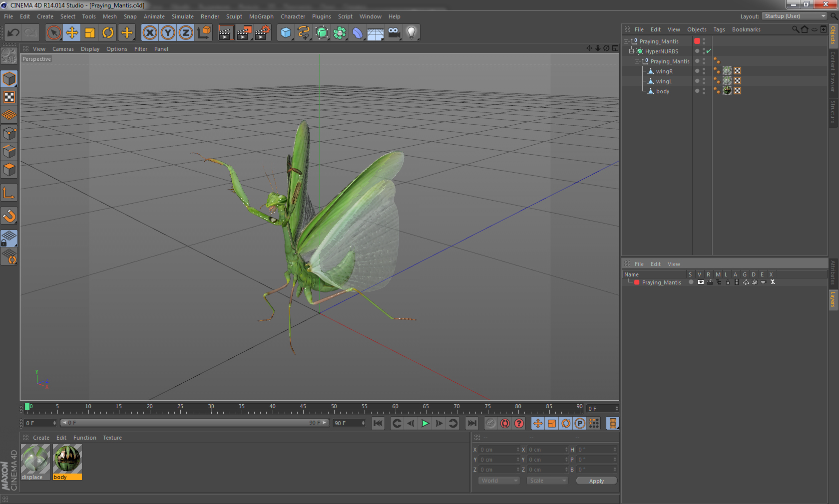 Praying Mantis 3D model