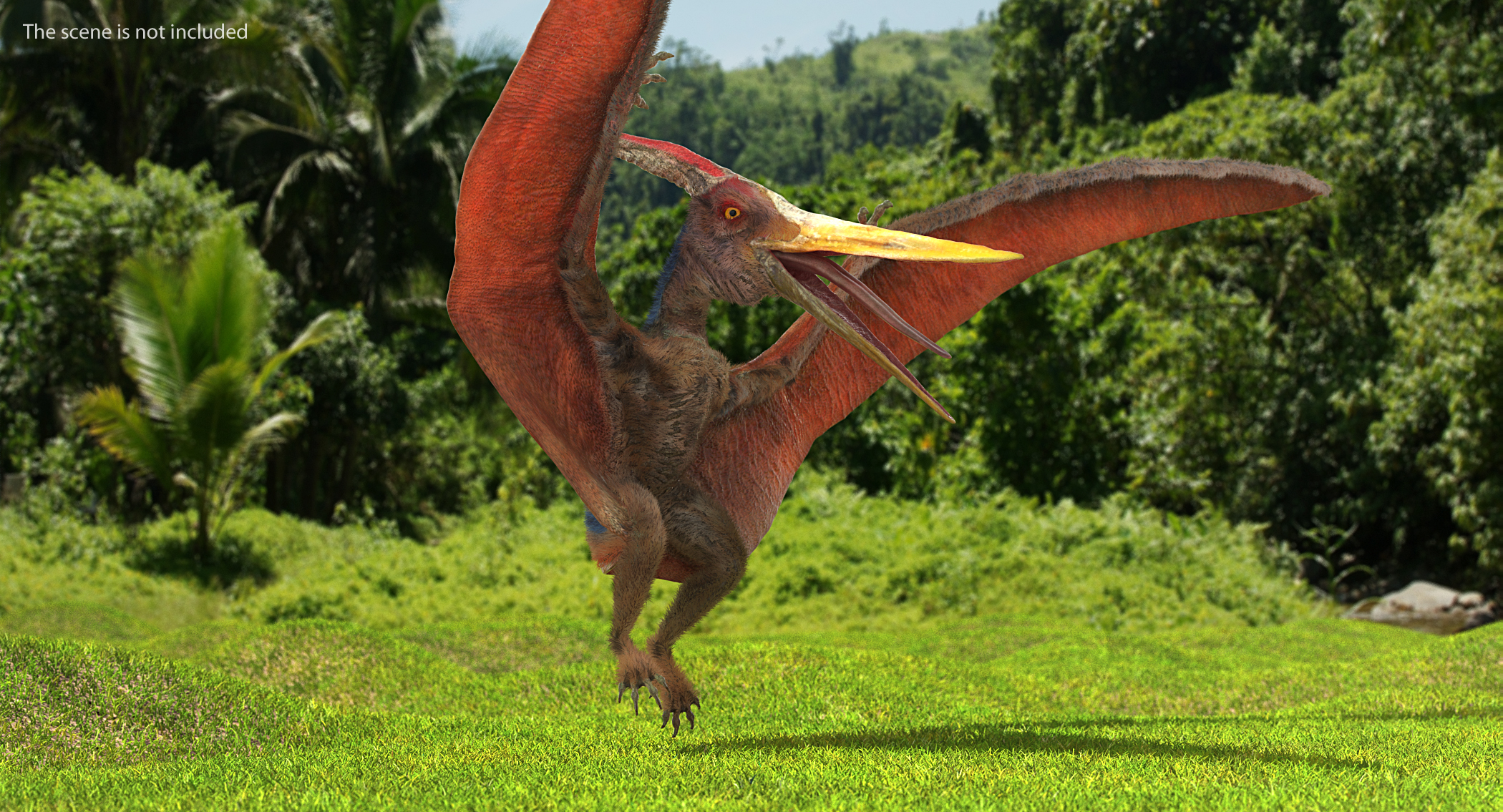 Pteranodon Landing Pose with Fur 3D