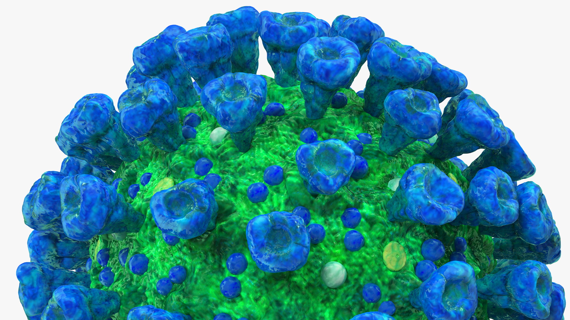 3D model Coronavirus MERS-CoV