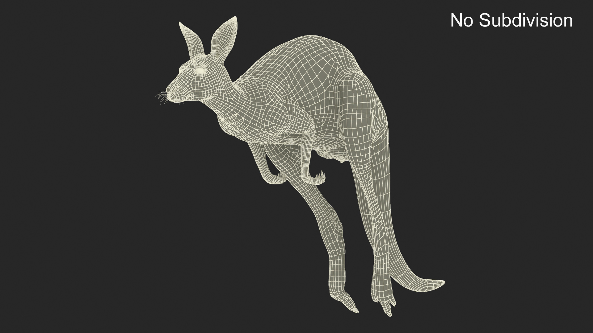 3D Kangaroo in Motion model