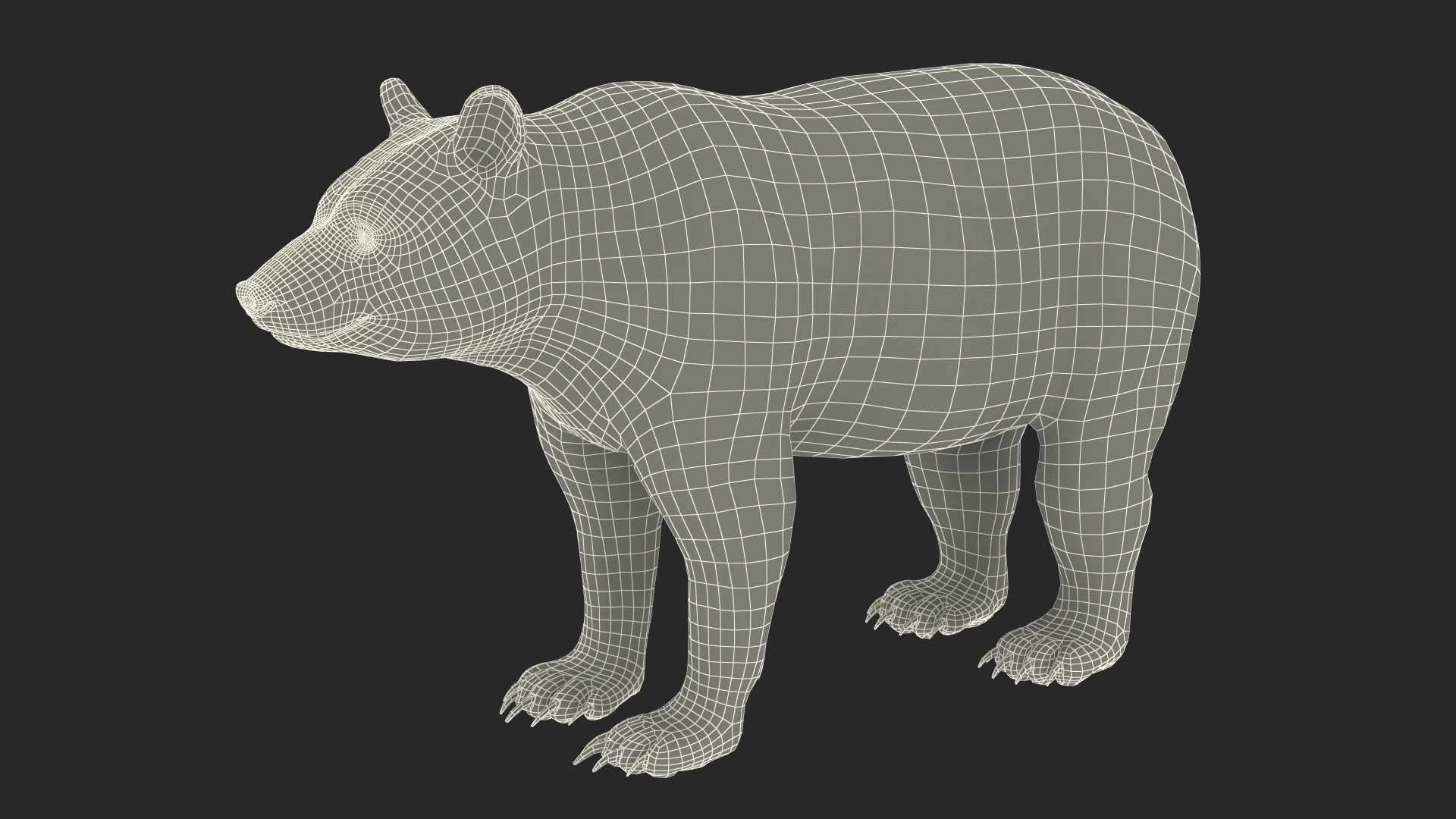 3D Black Bear Fur Rigged