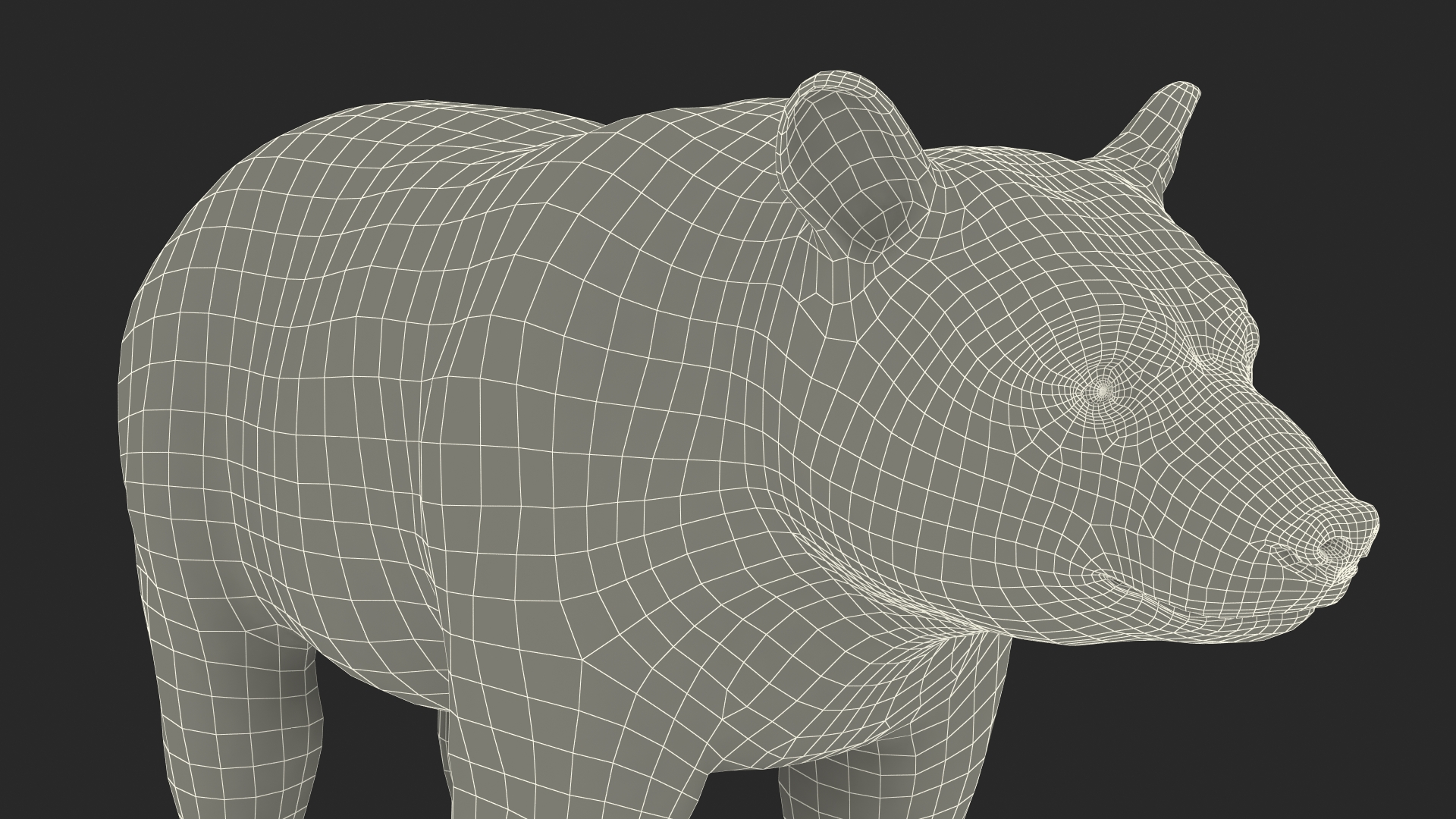 3D Black Bear Fur Rigged