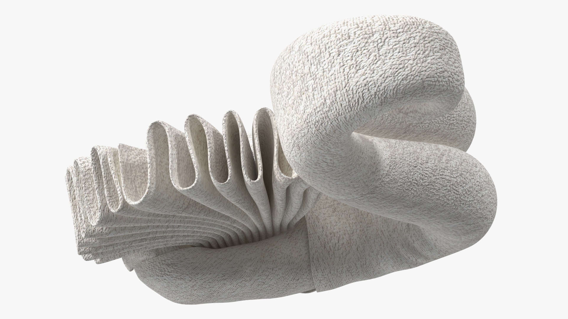 Elegant Towel Swan White 3D model