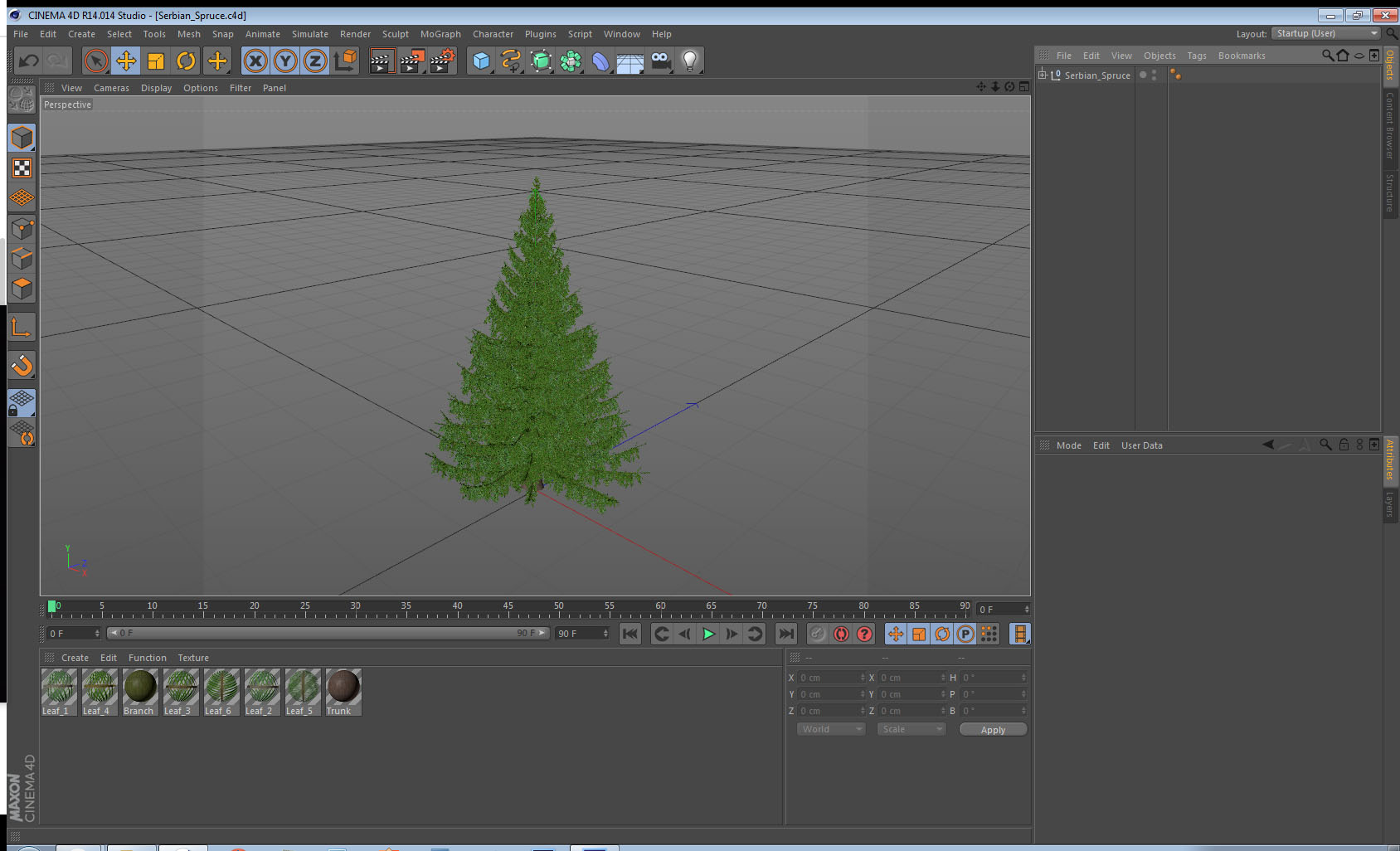 Serbian Spruce 3D model