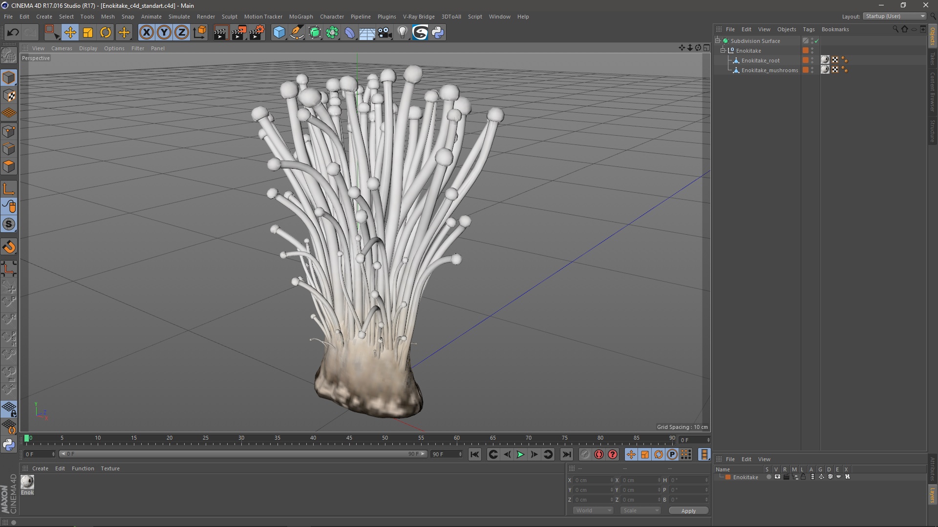 Enokitake 3D model