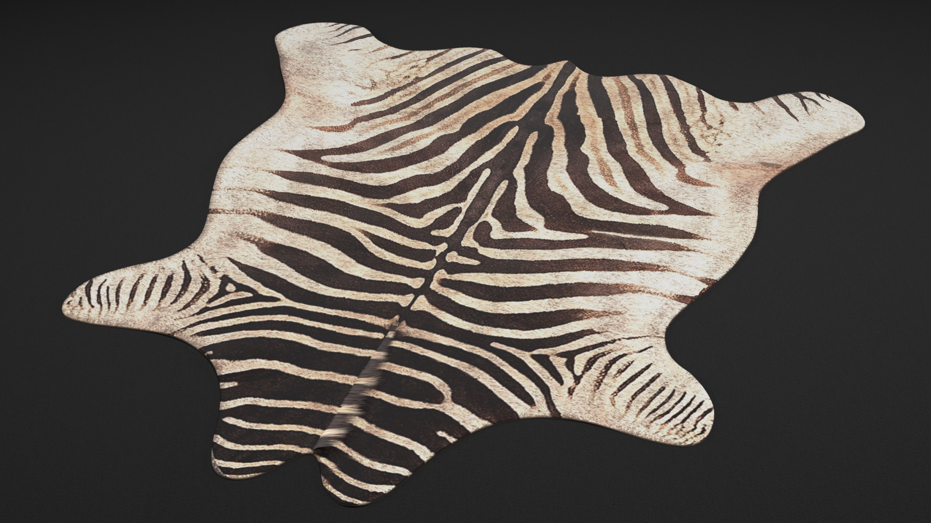 3D Zebra Hide Rug with Fur model