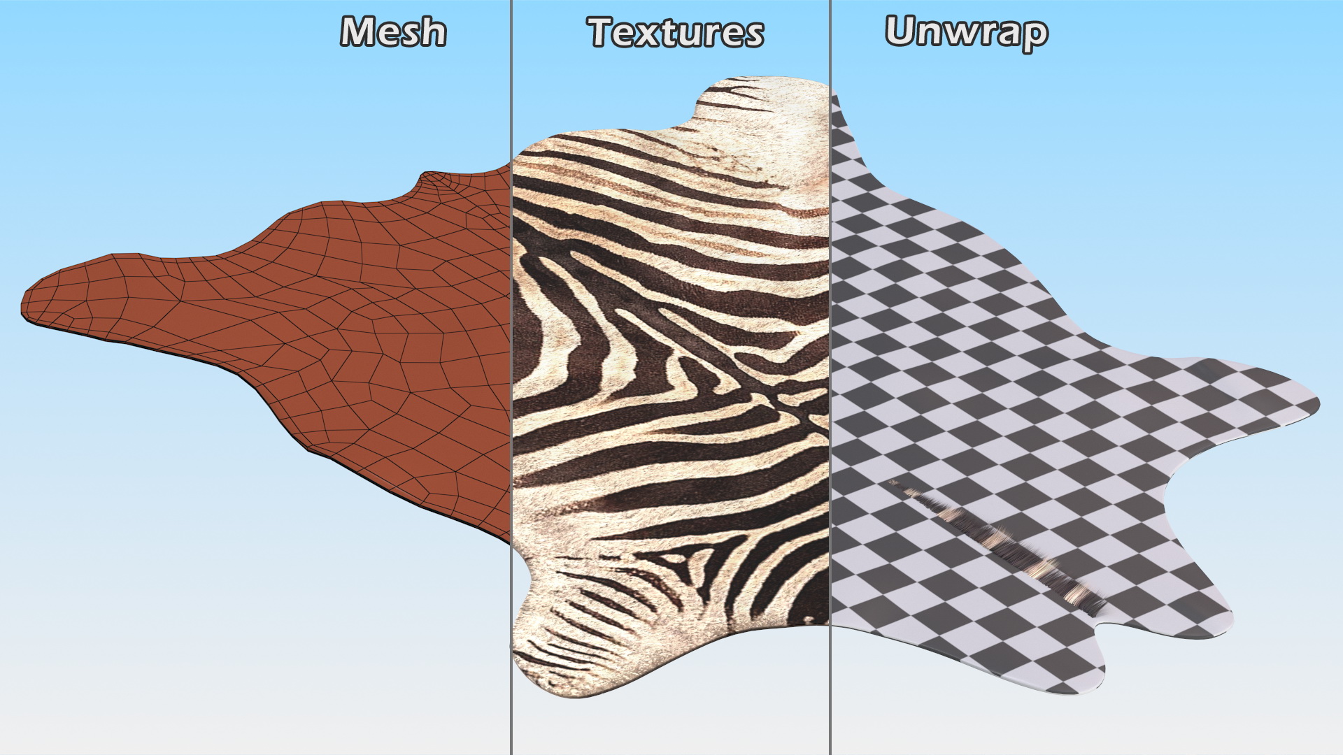 3D Zebra Hide Rug with Fur model