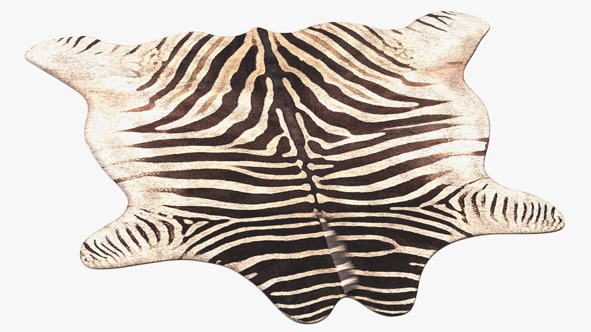 3D Zebra Hide Rug with Fur model