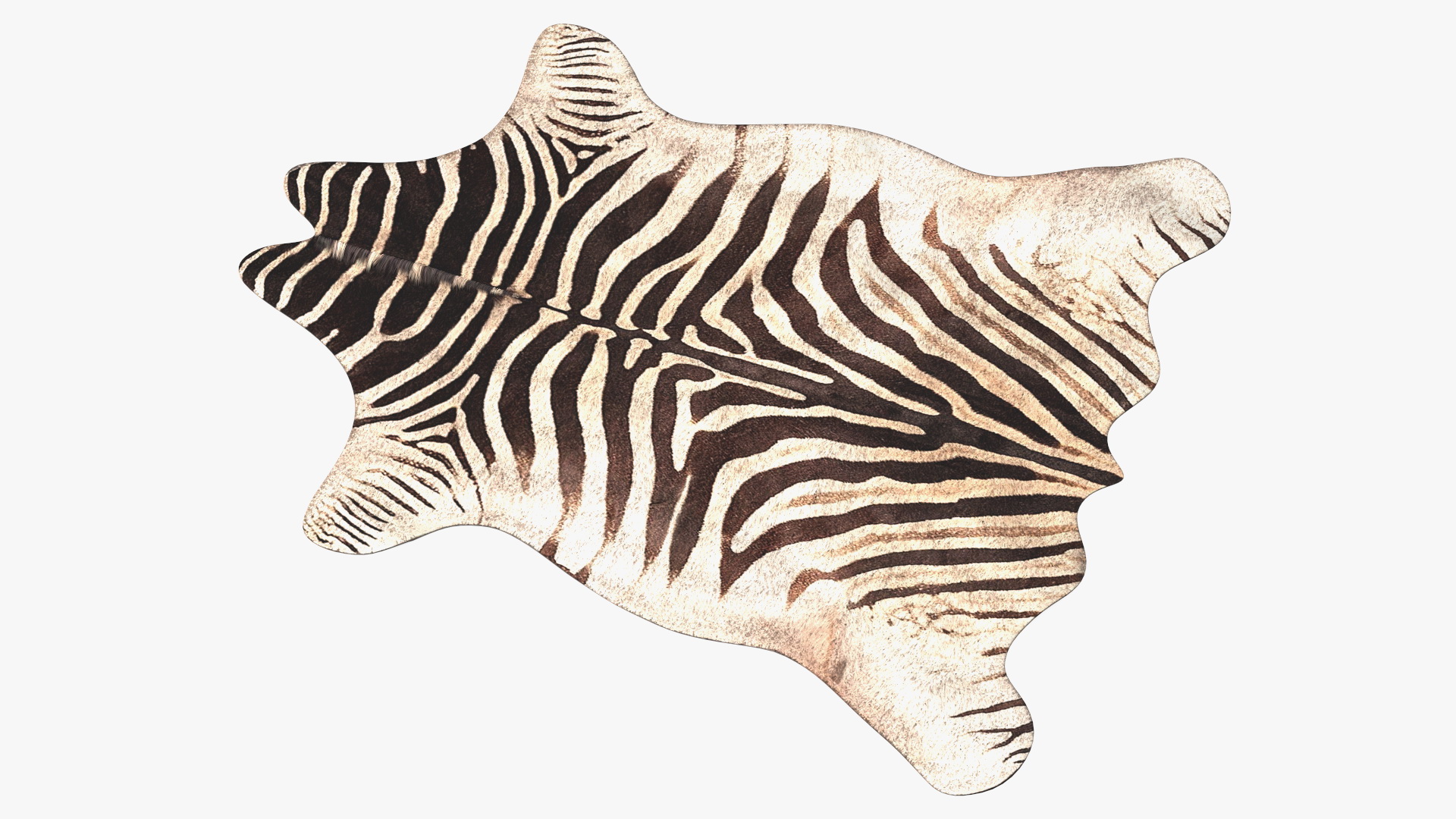 3D Zebra Hide Rug with Fur model