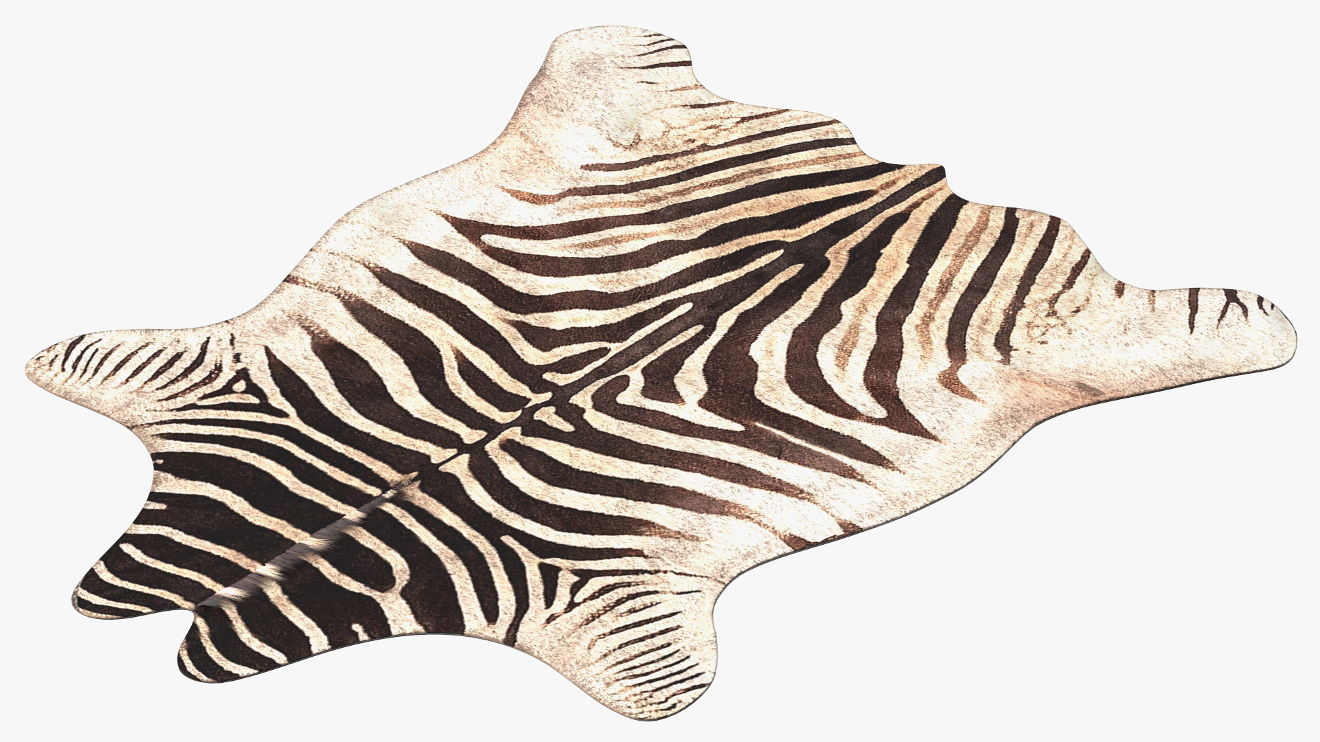 3D Zebra Hide Rug with Fur model