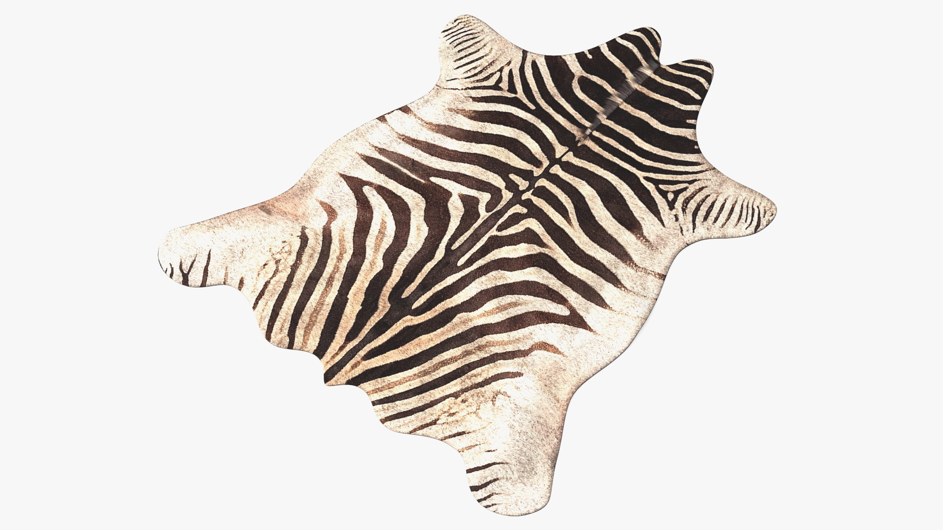 3D Zebra Hide Rug with Fur model