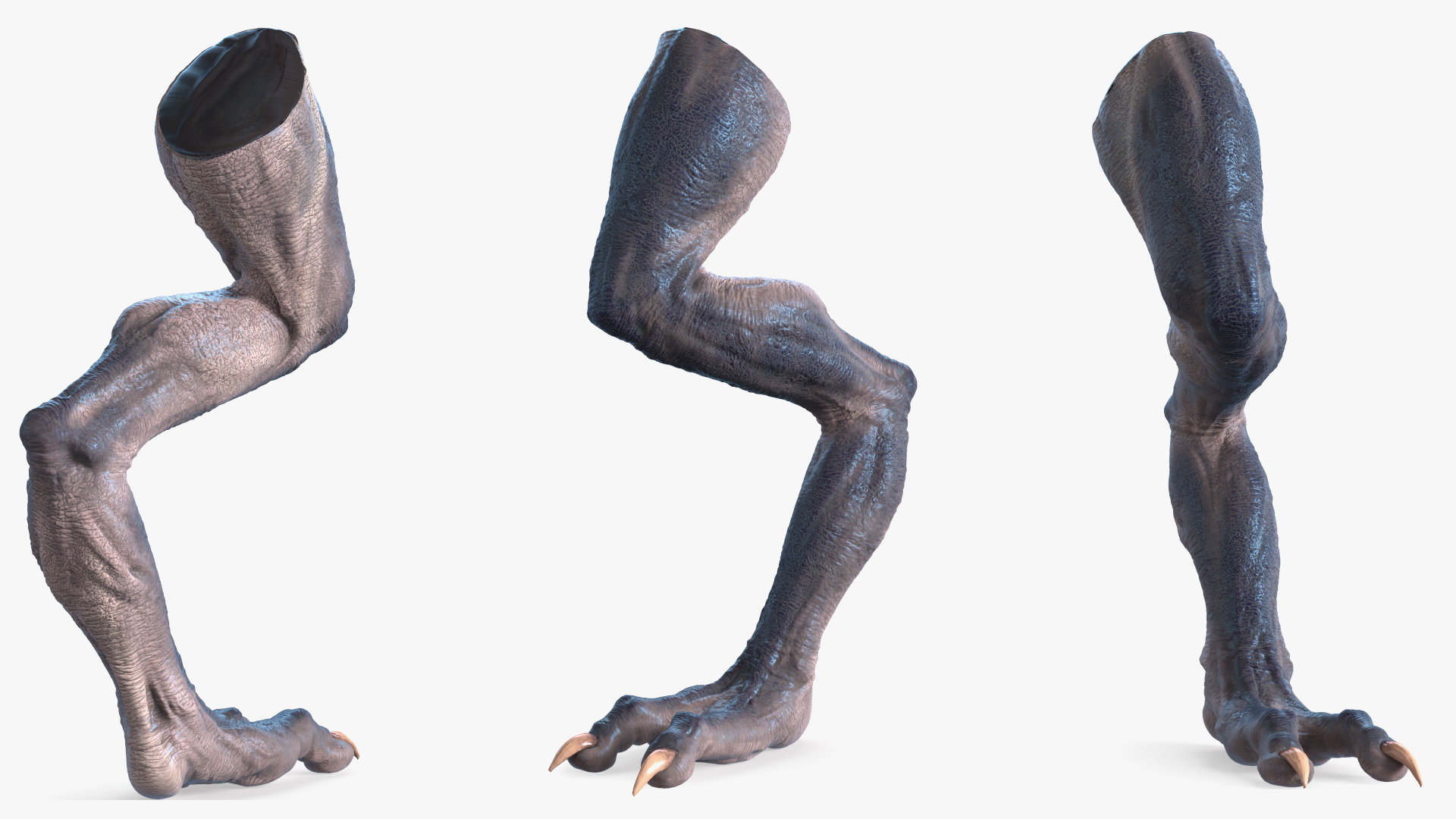 3D model Monster Creature Leg