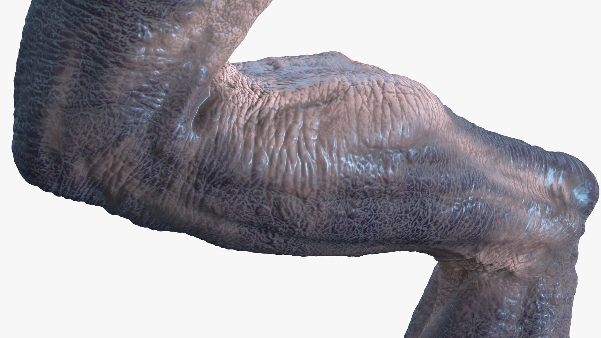 3D model Monster Creature Leg