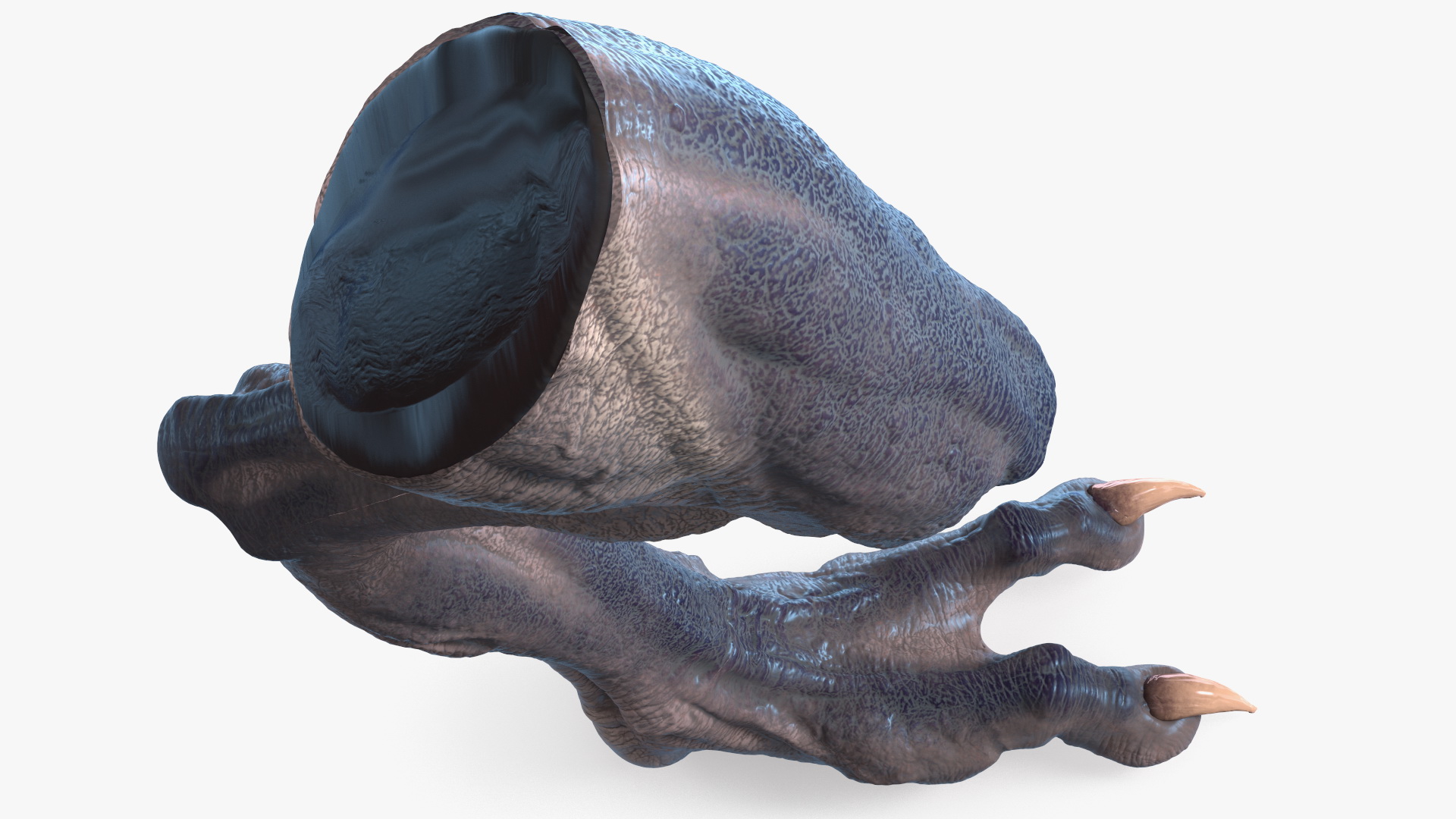 3D model Monster Creature Leg