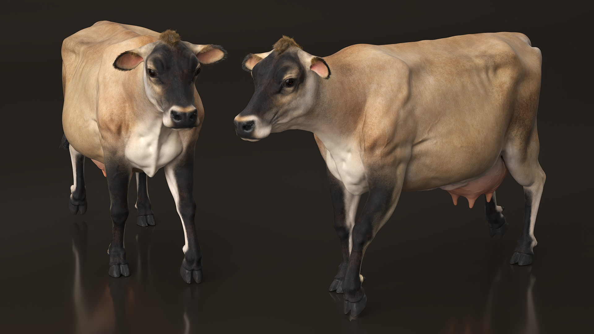 3D Mini Cow Goes Beige Fur model