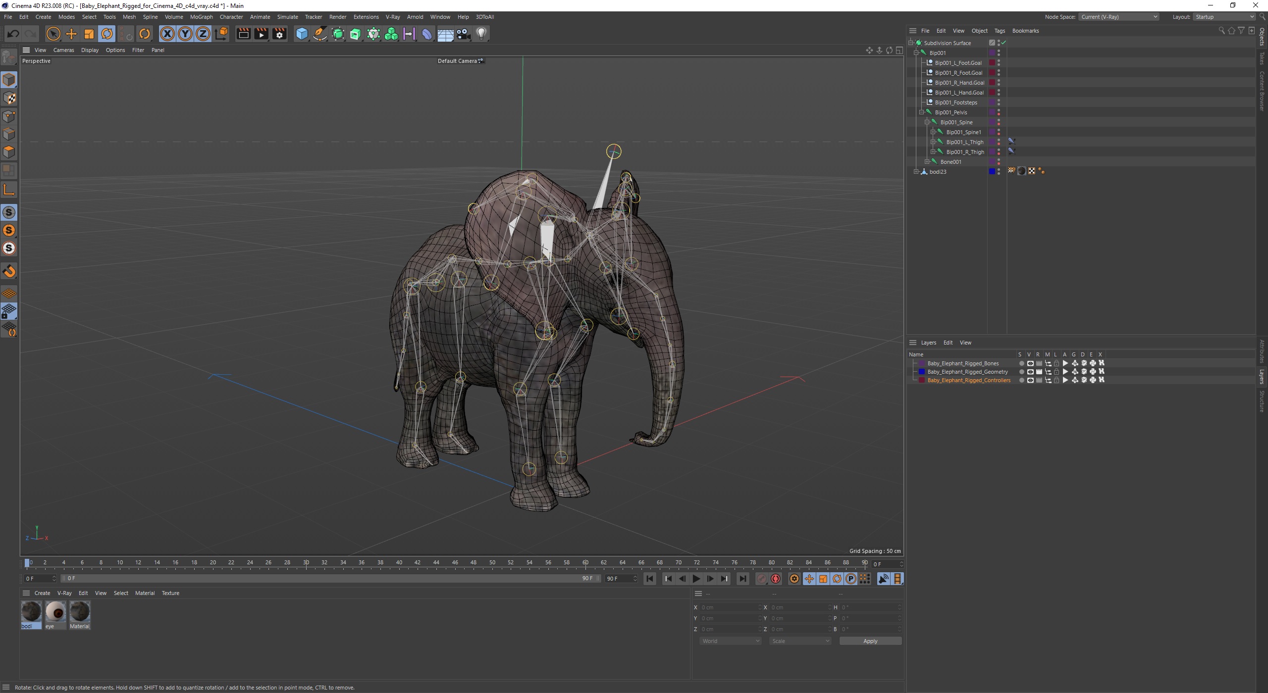 Baby Elephant Rigged for Cinema 4D 3D model