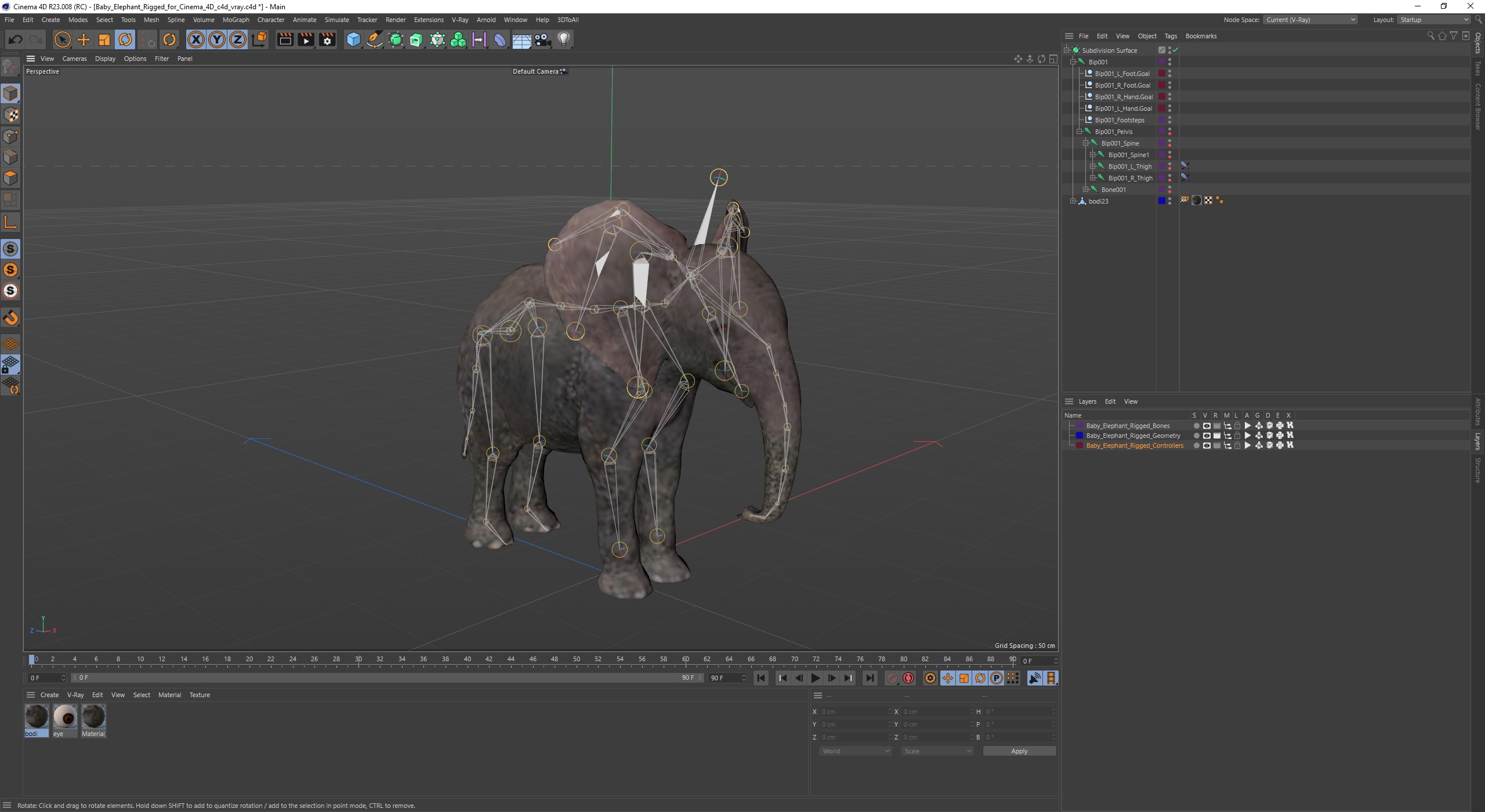 Baby Elephant Rigged for Cinema 4D 3D model