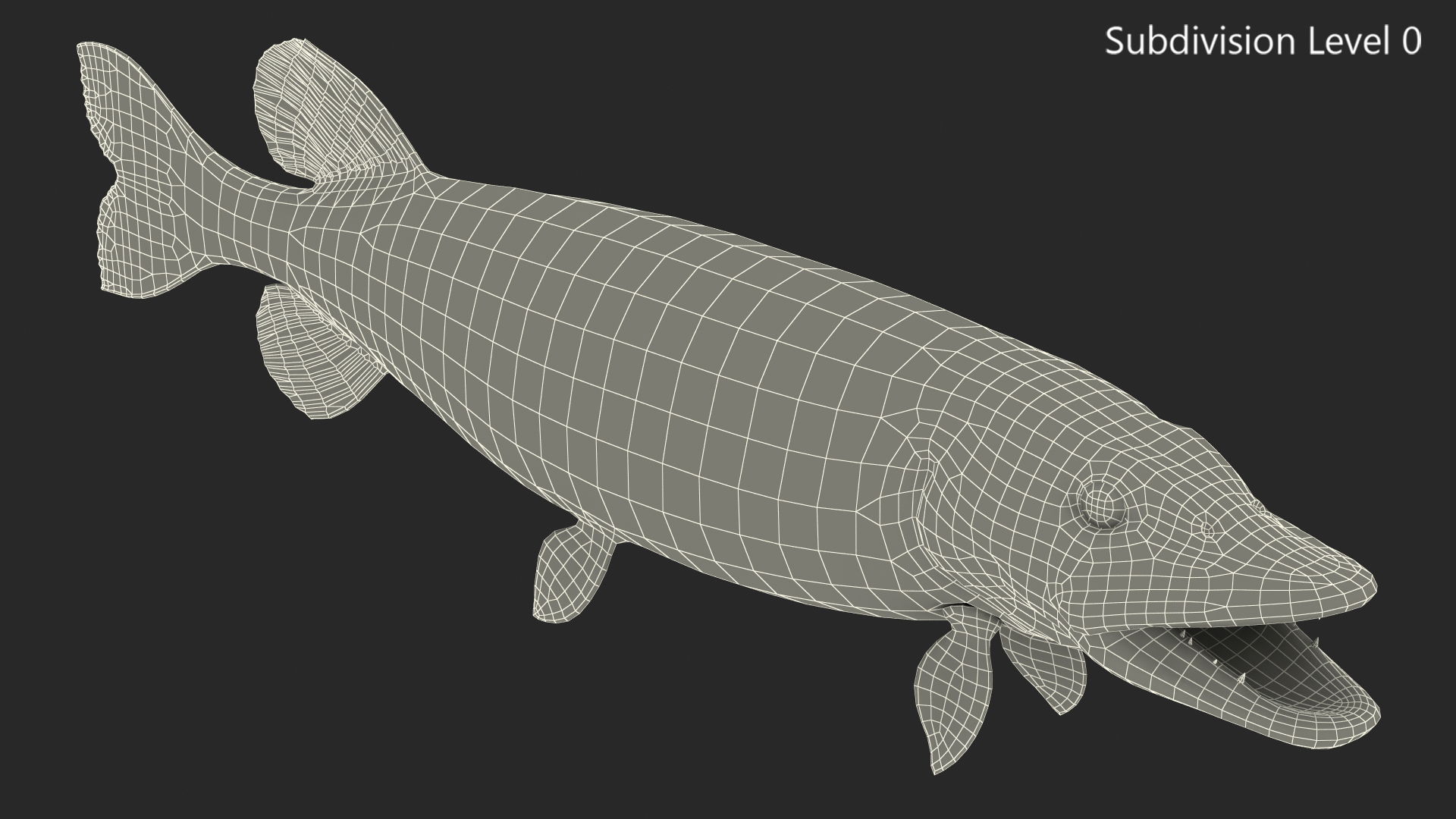 3D Northern Pike model