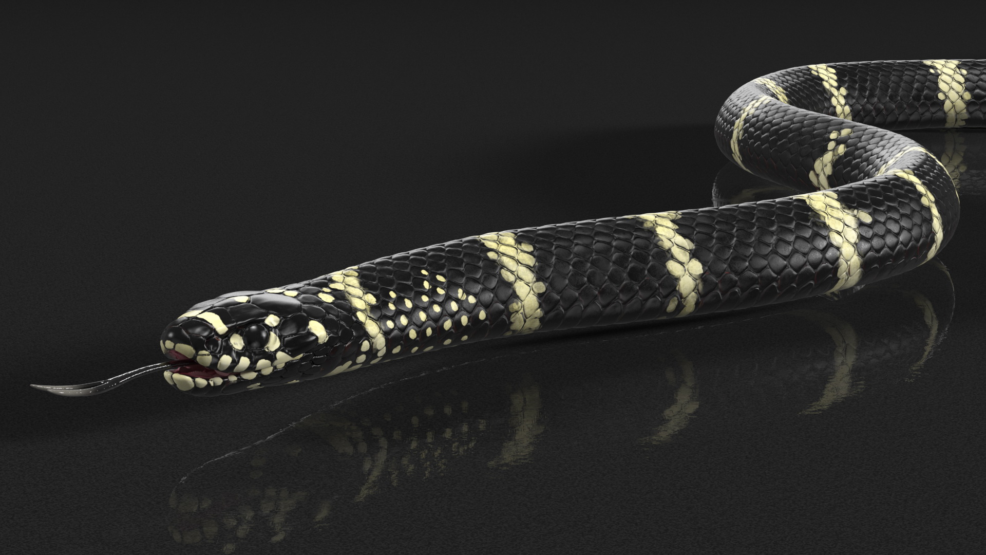 Eastern Kingsnake Rigged 3D model