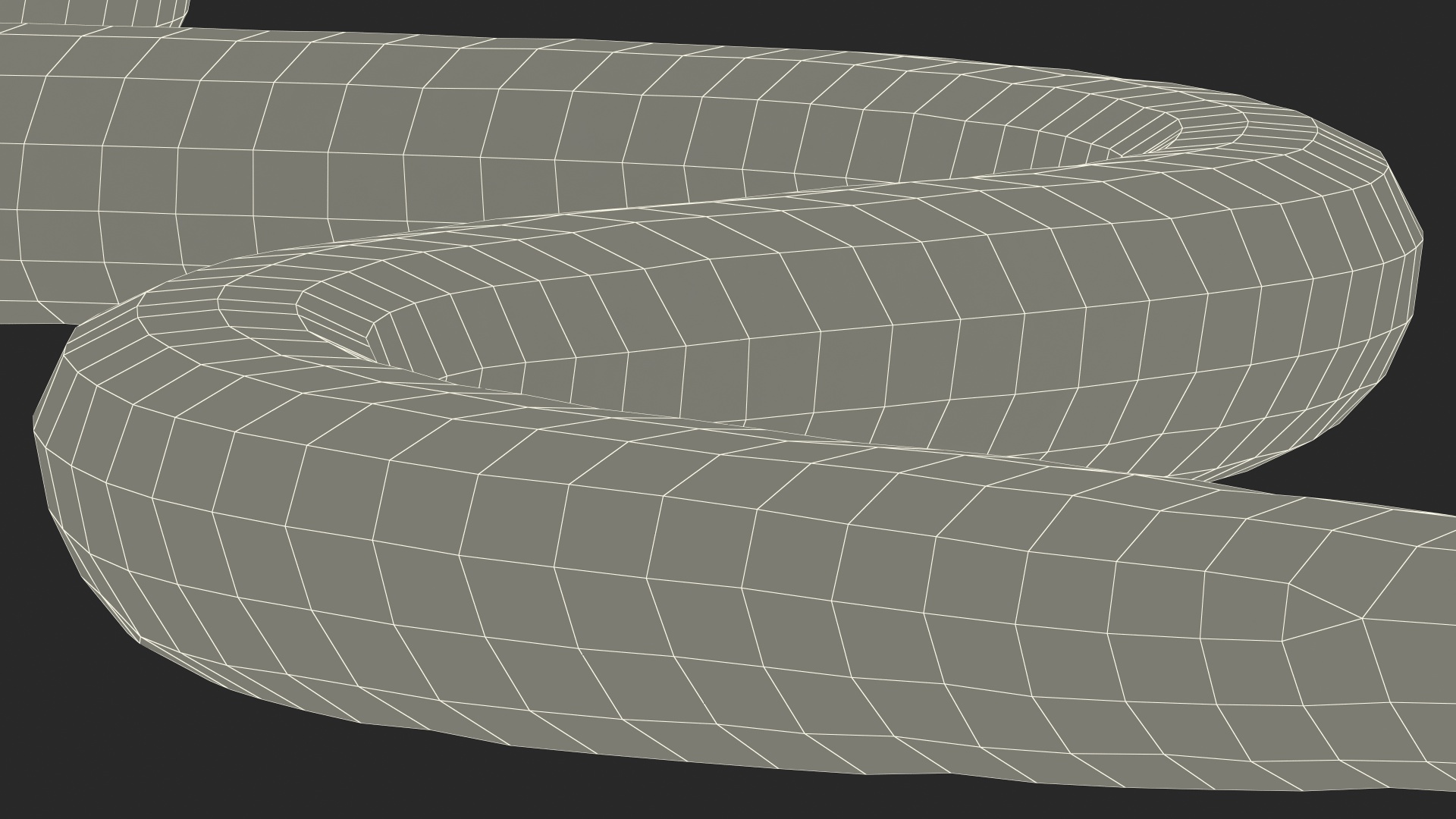 3D Eastern Kingsnake Rigged for Maya model