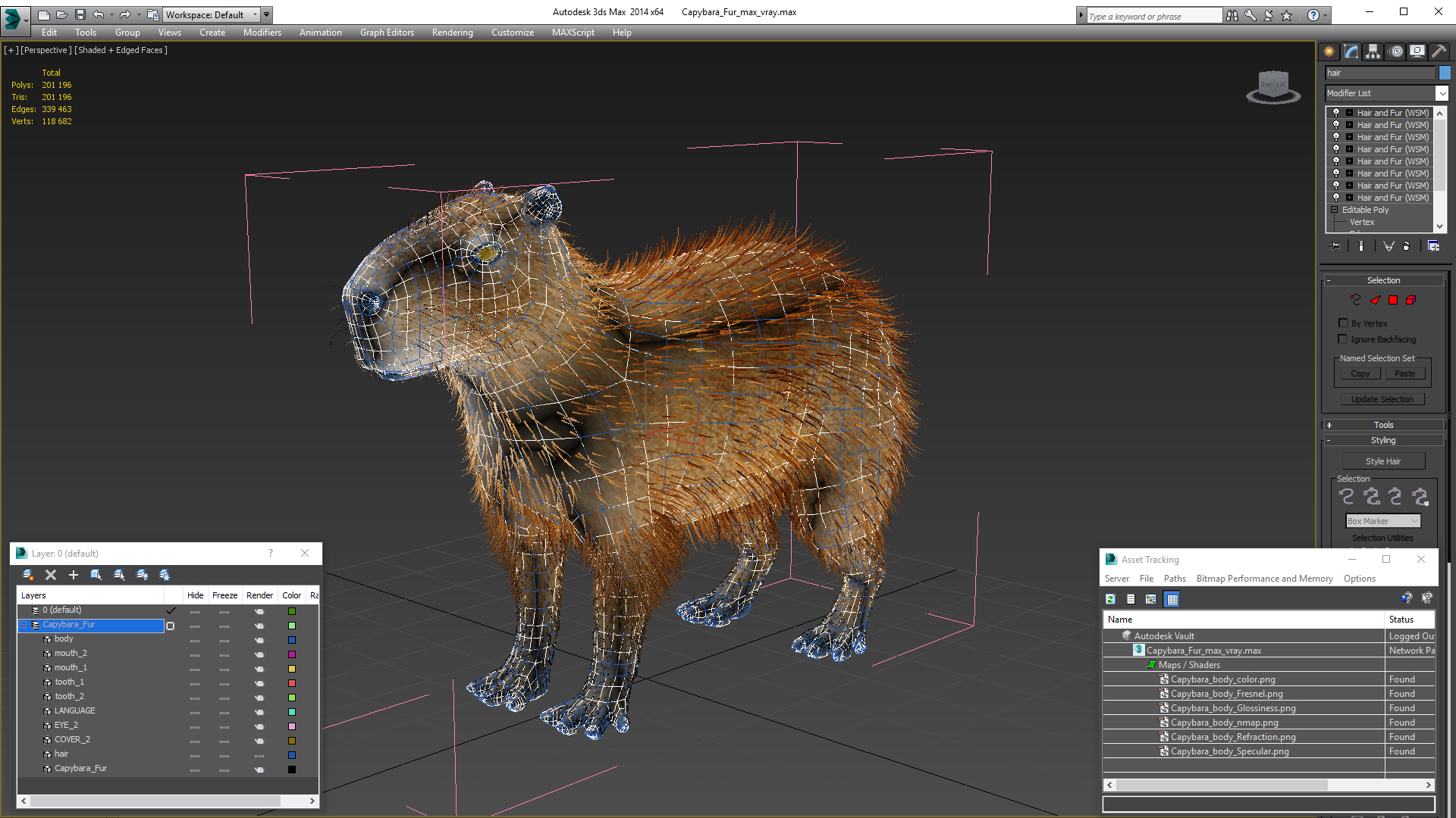 Capybara Fur 3D