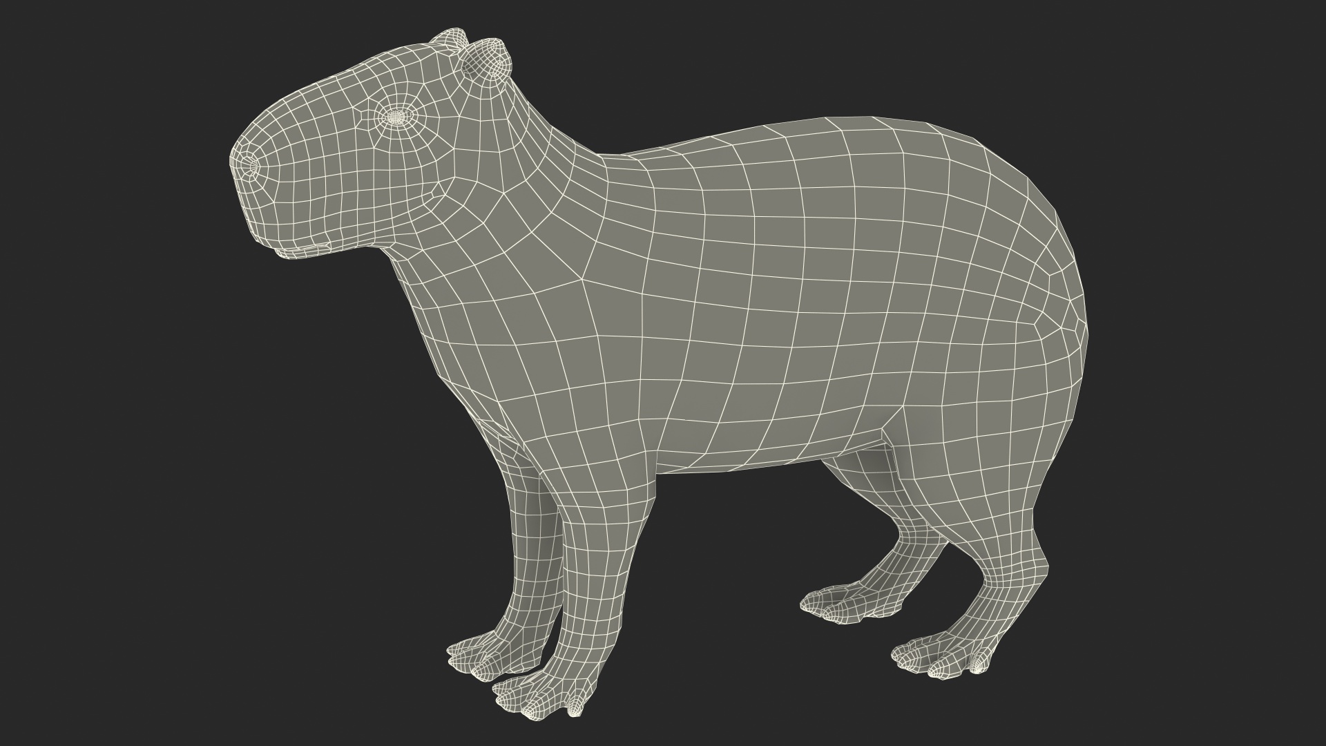 Capybara Fur 3D