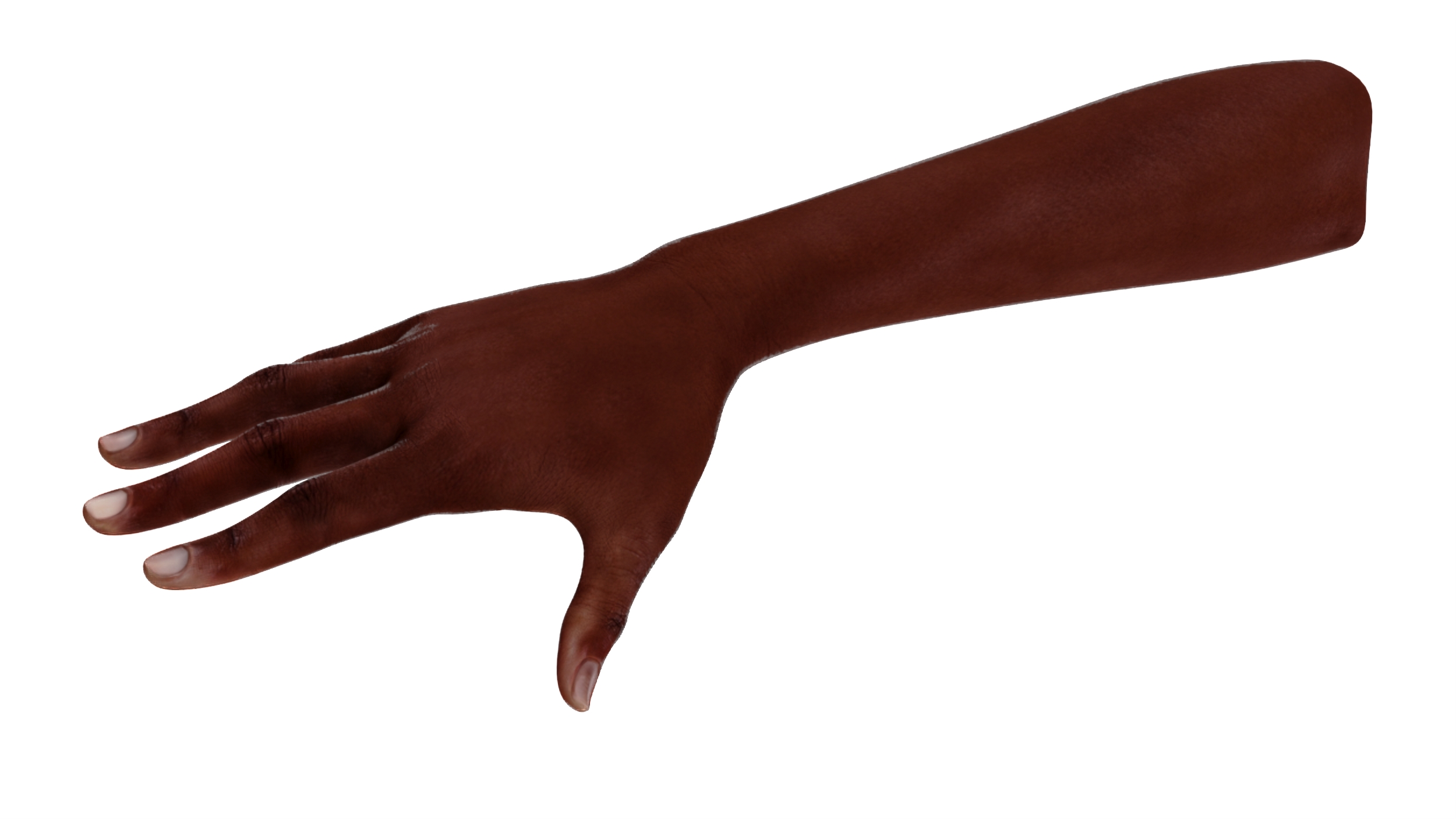 3D model Dark Skinned Woman Hands Rigged for Cinema 4D