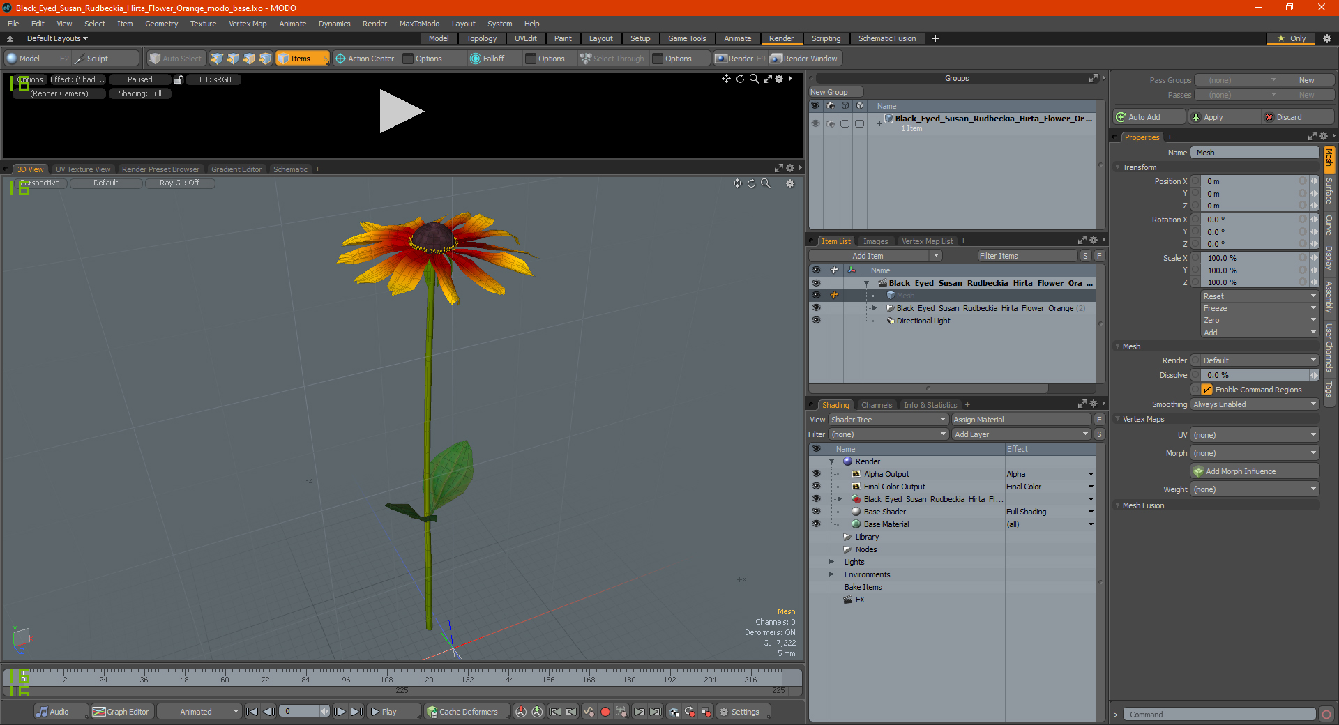 3D Black Eyed Susan Rudbeckia Hirta Flower Orange