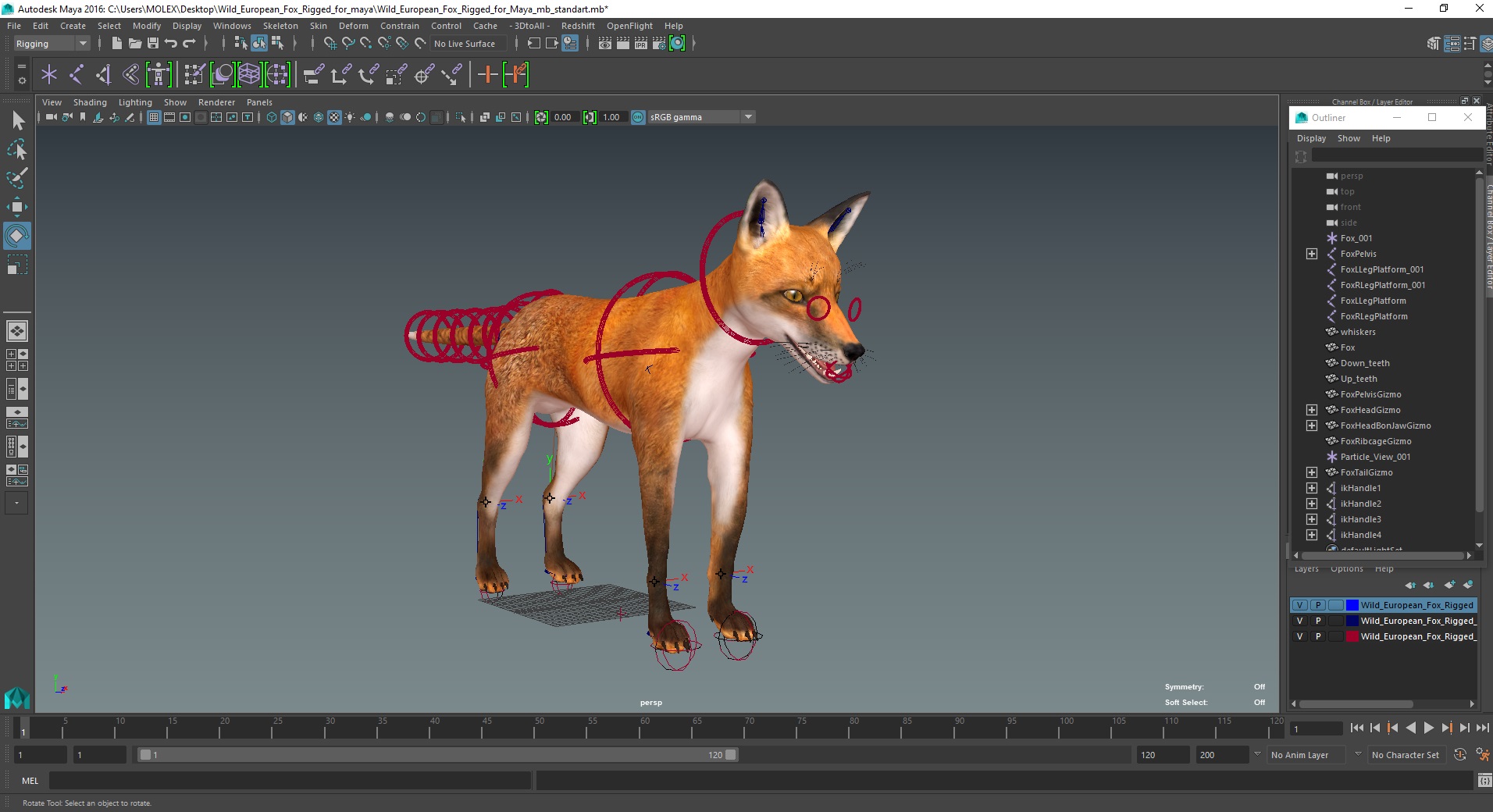 3D Wild European Fox Rigged for Maya model