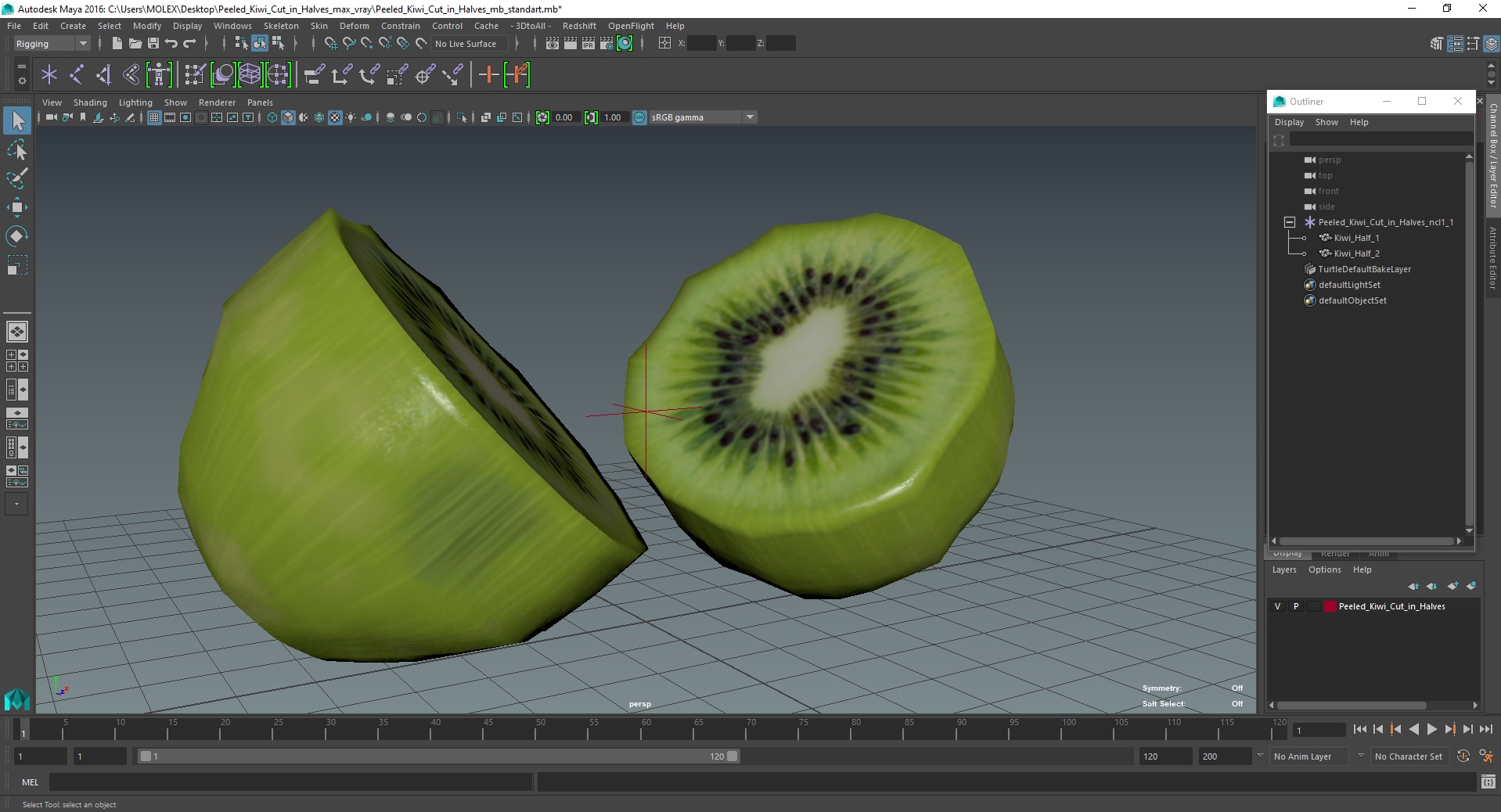 3D model Peeled Kiwi Cut in Halves