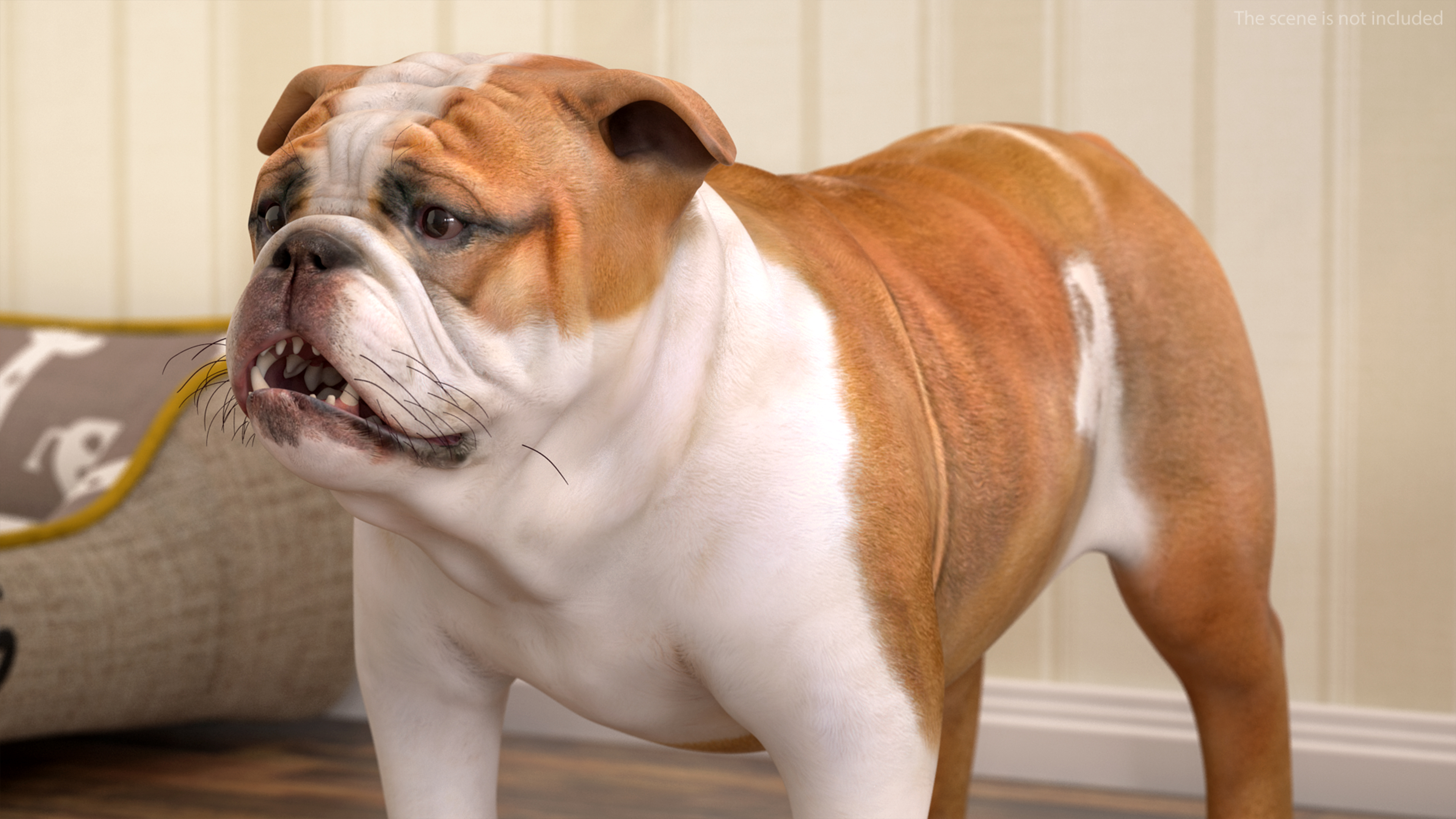 Bulldog 3D model