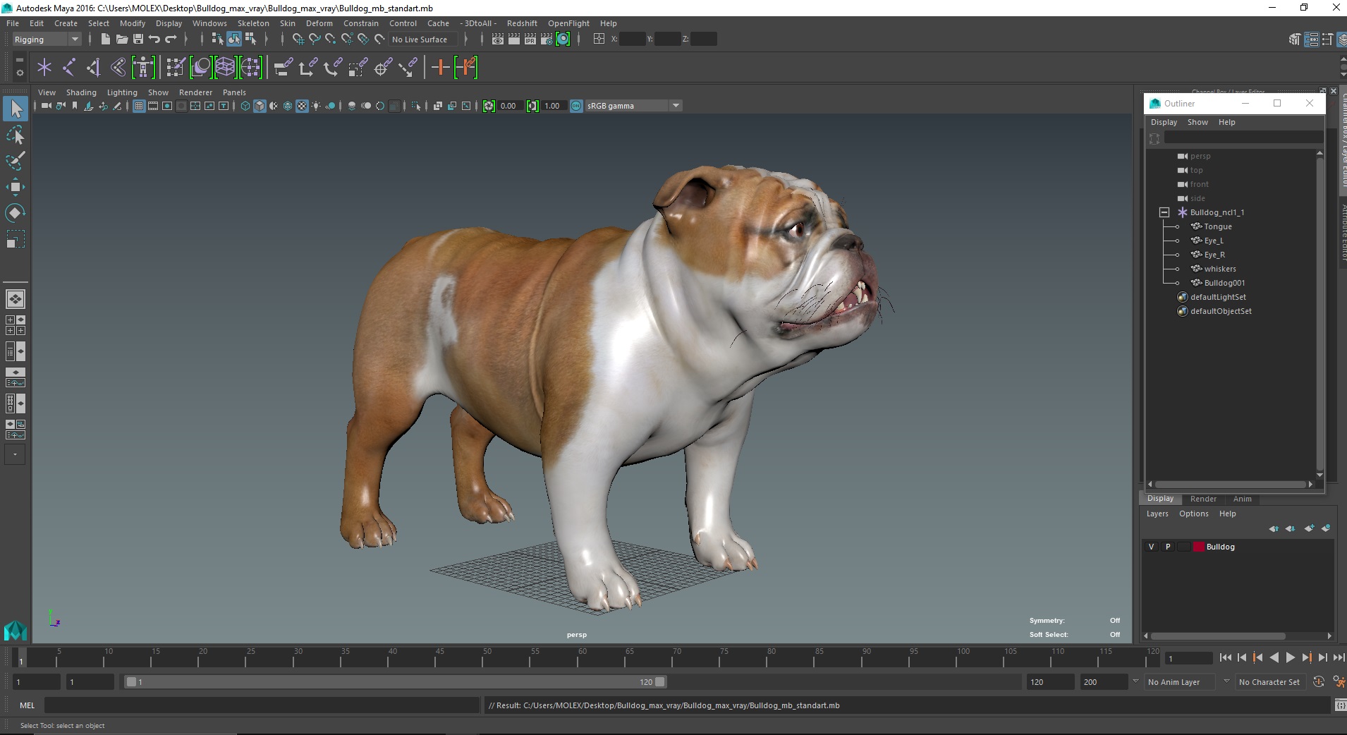 Bulldog 3D model