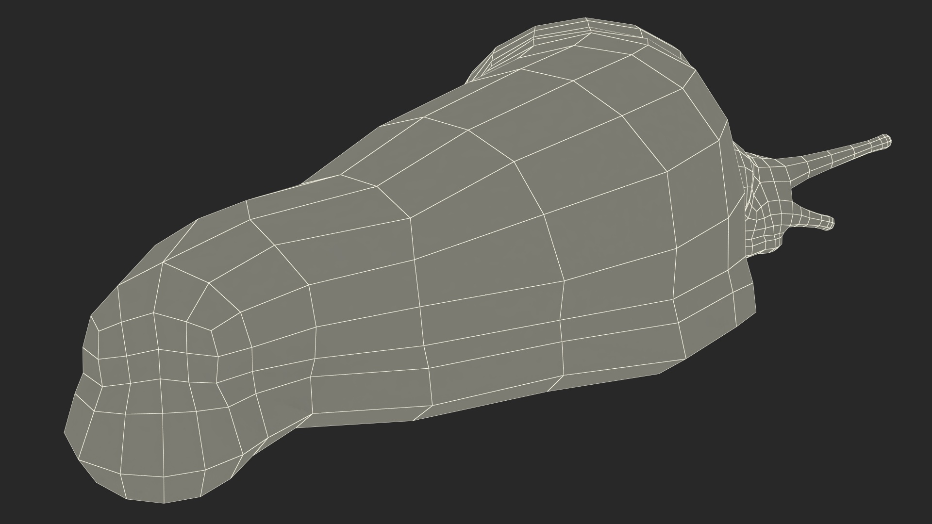 3D Great Grey Slug Lying