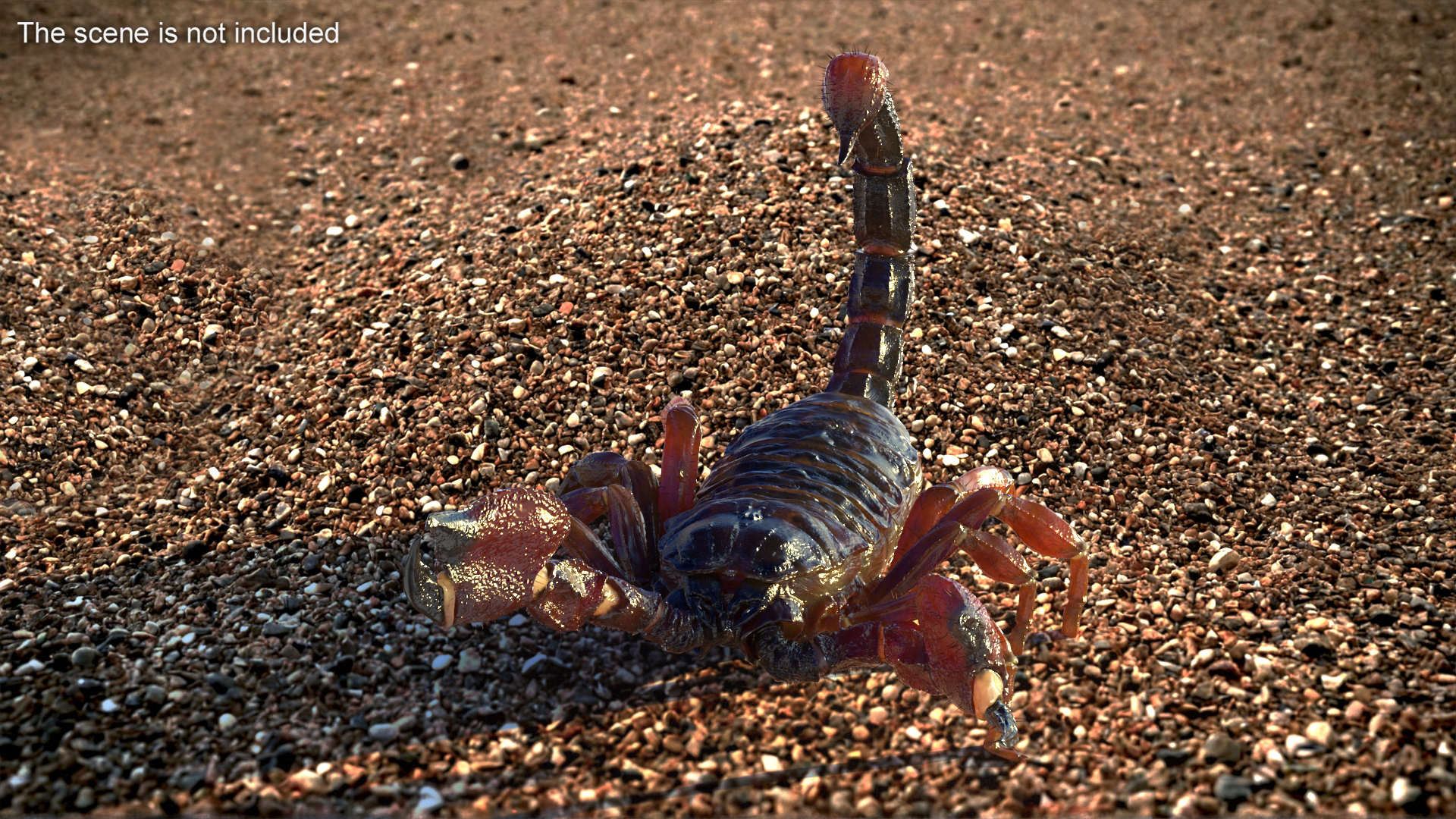 3D model Realistic Scorpion Rigged