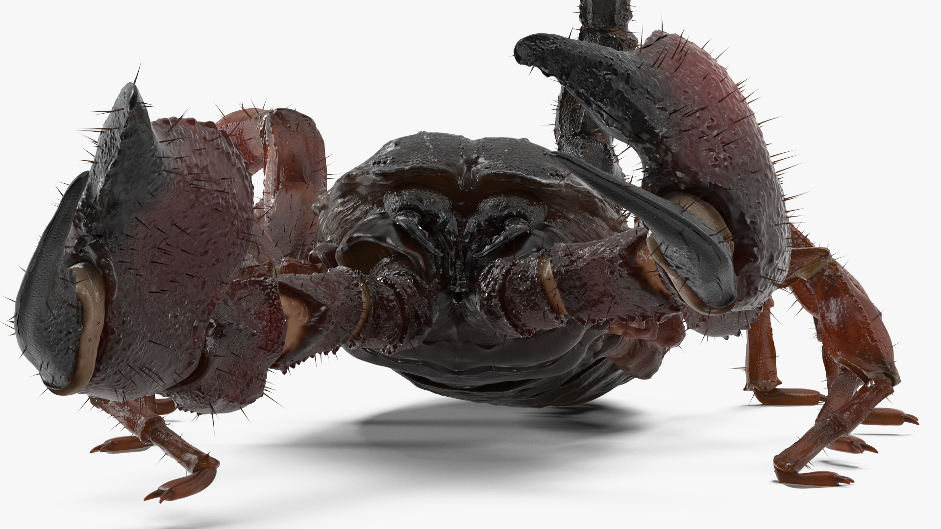 3D model Realistic Scorpion Rigged