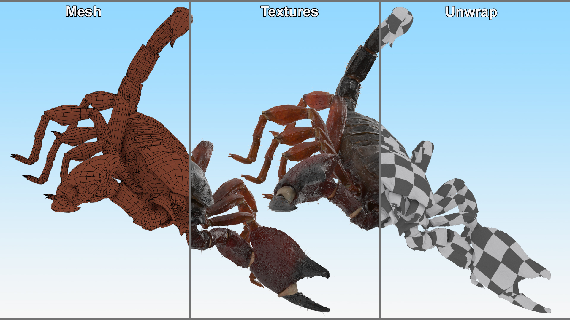 3D model Realistic Scorpion Rigged