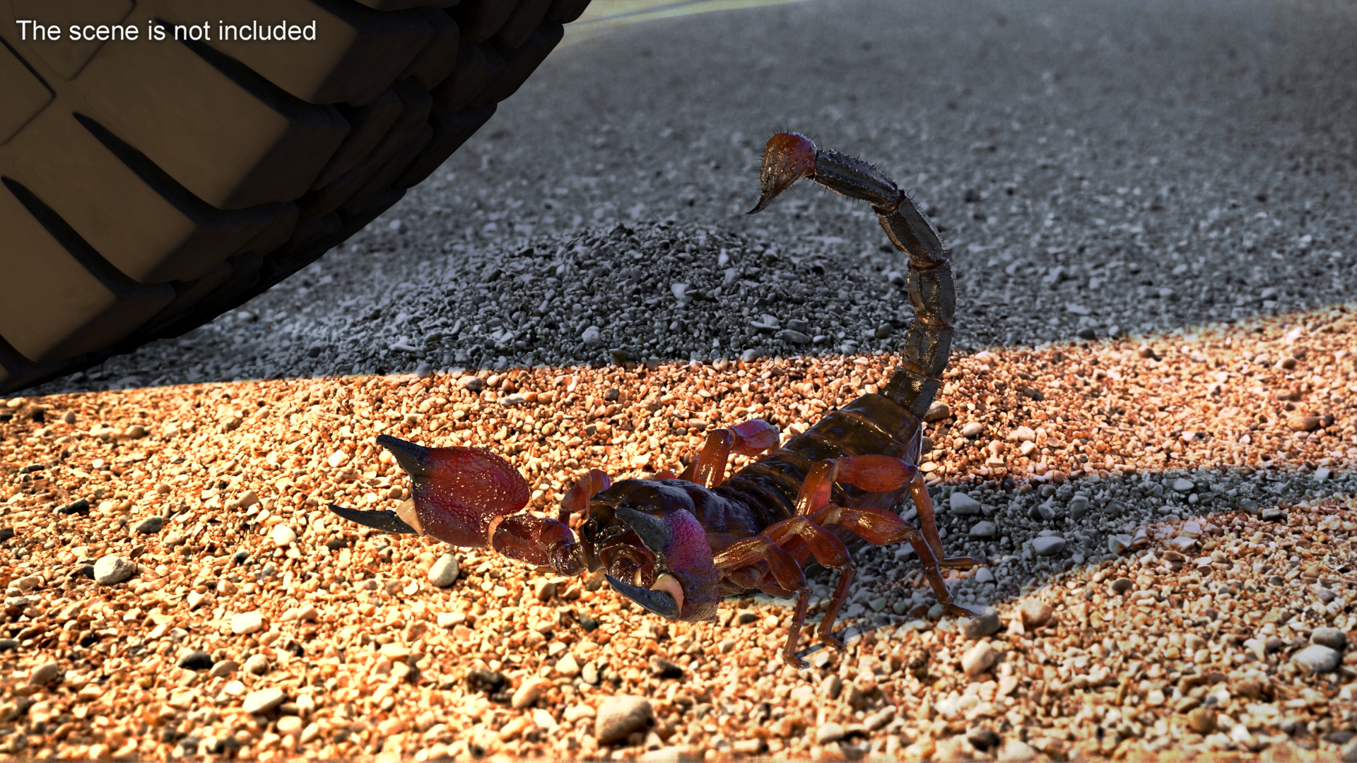 3D model Realistic Scorpion Rigged