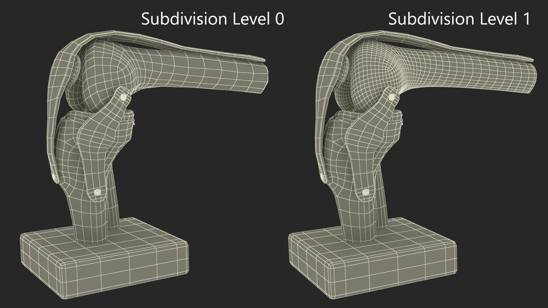 3D model Knee Joint Model in Flexed Position