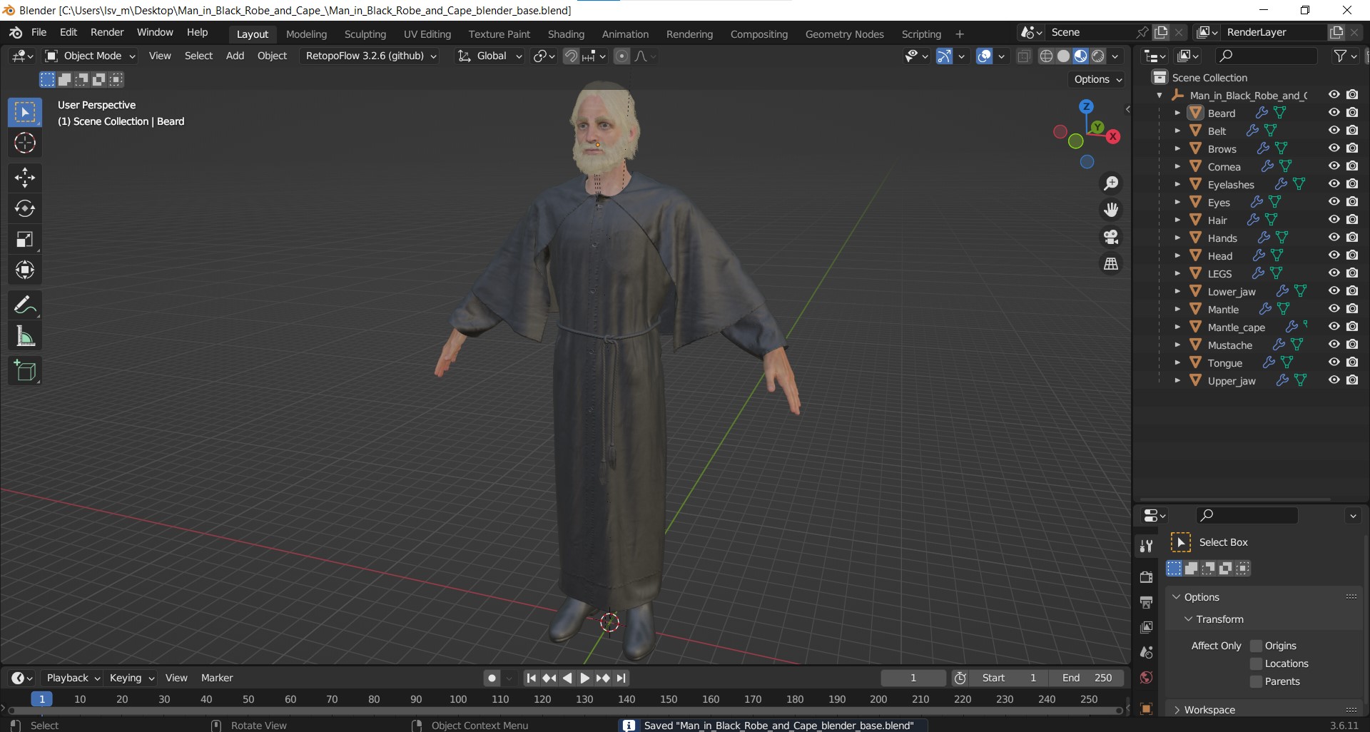 3D Man in Black Robe and Cape